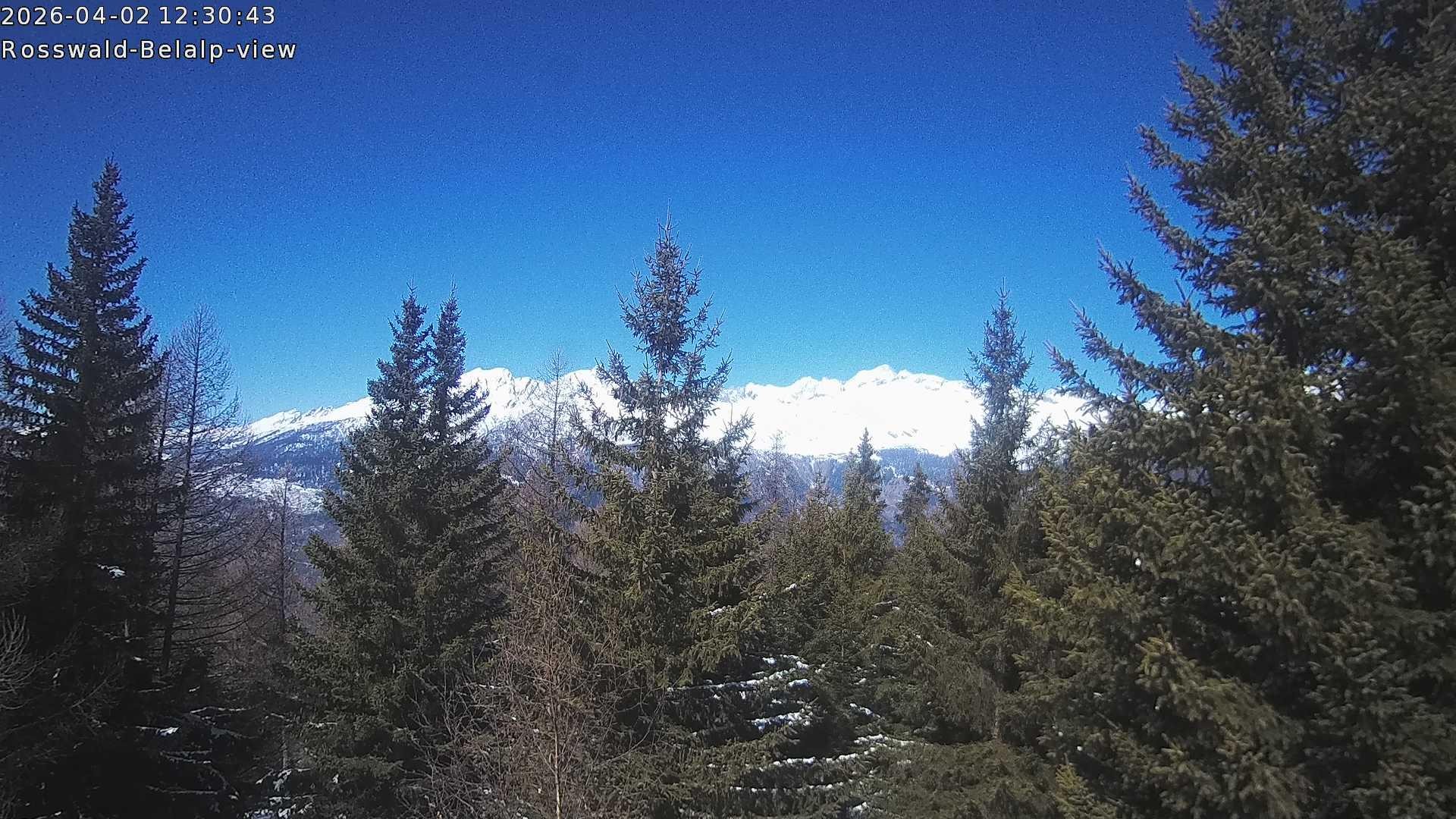 Archived image Webcam Rosswald - Bärgfriedu
