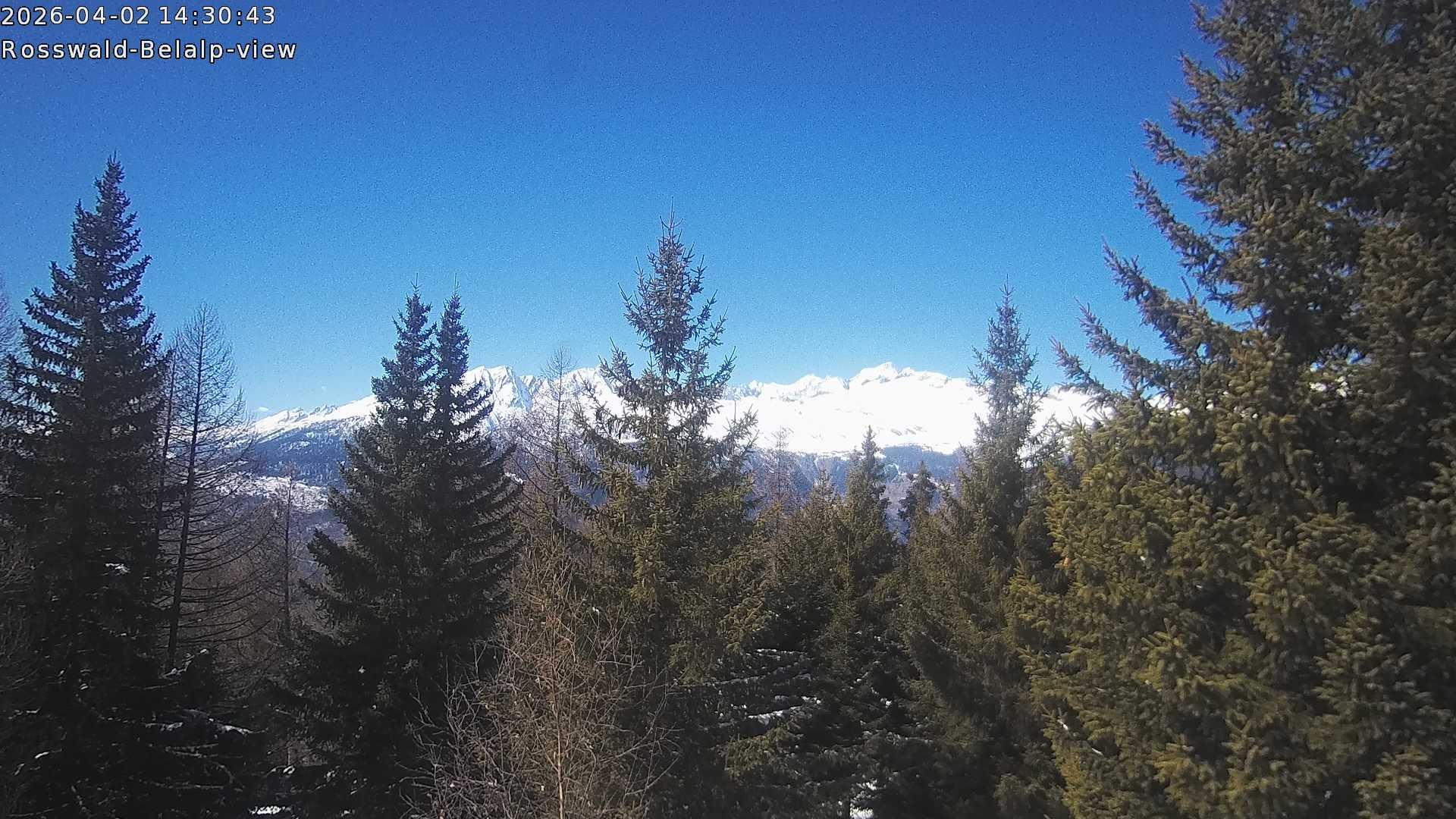 Archived image Webcam Rosswald - Bärgfriedu