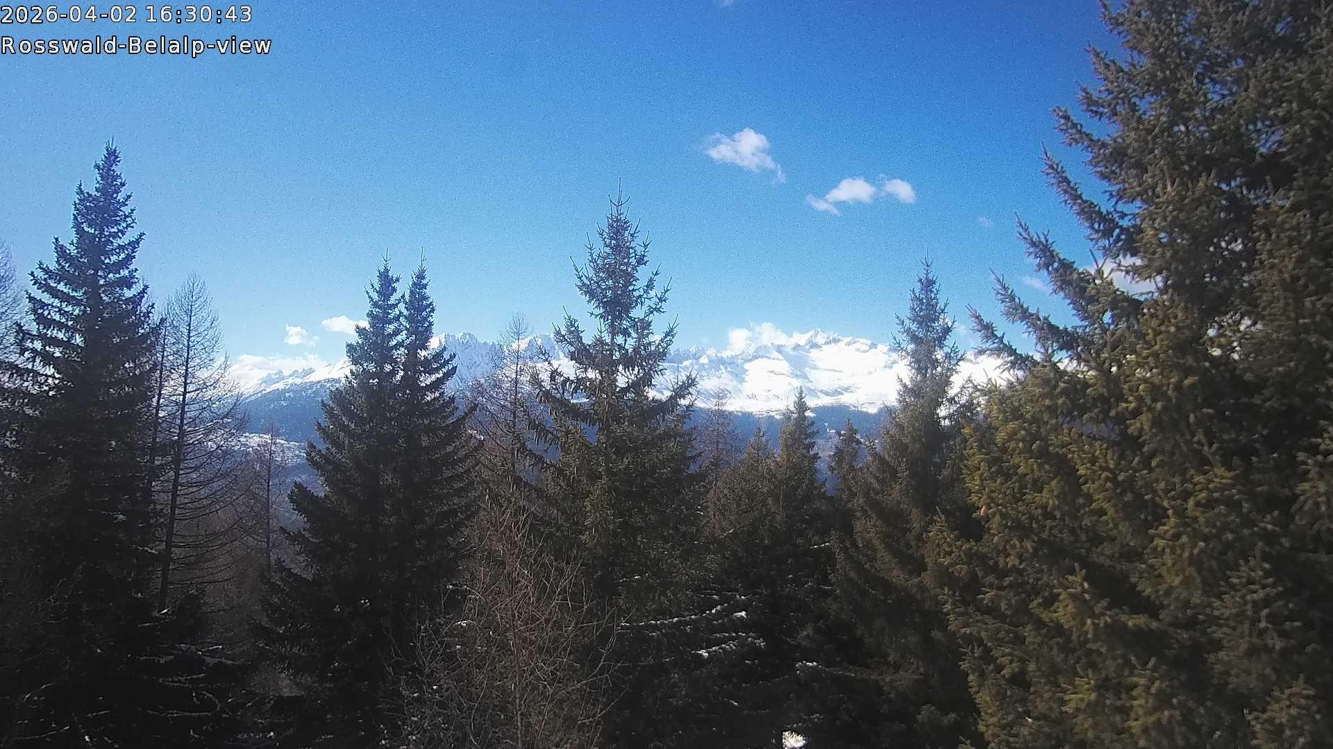 Archived image Webcam Rosswald - Bärgfriedu