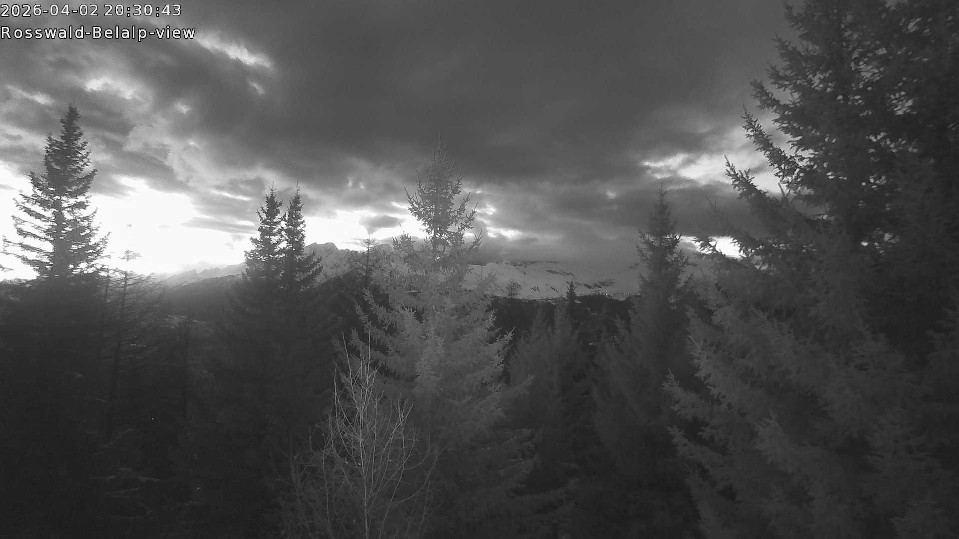 Archived image Webcam Rosswald - Bärgfriedu