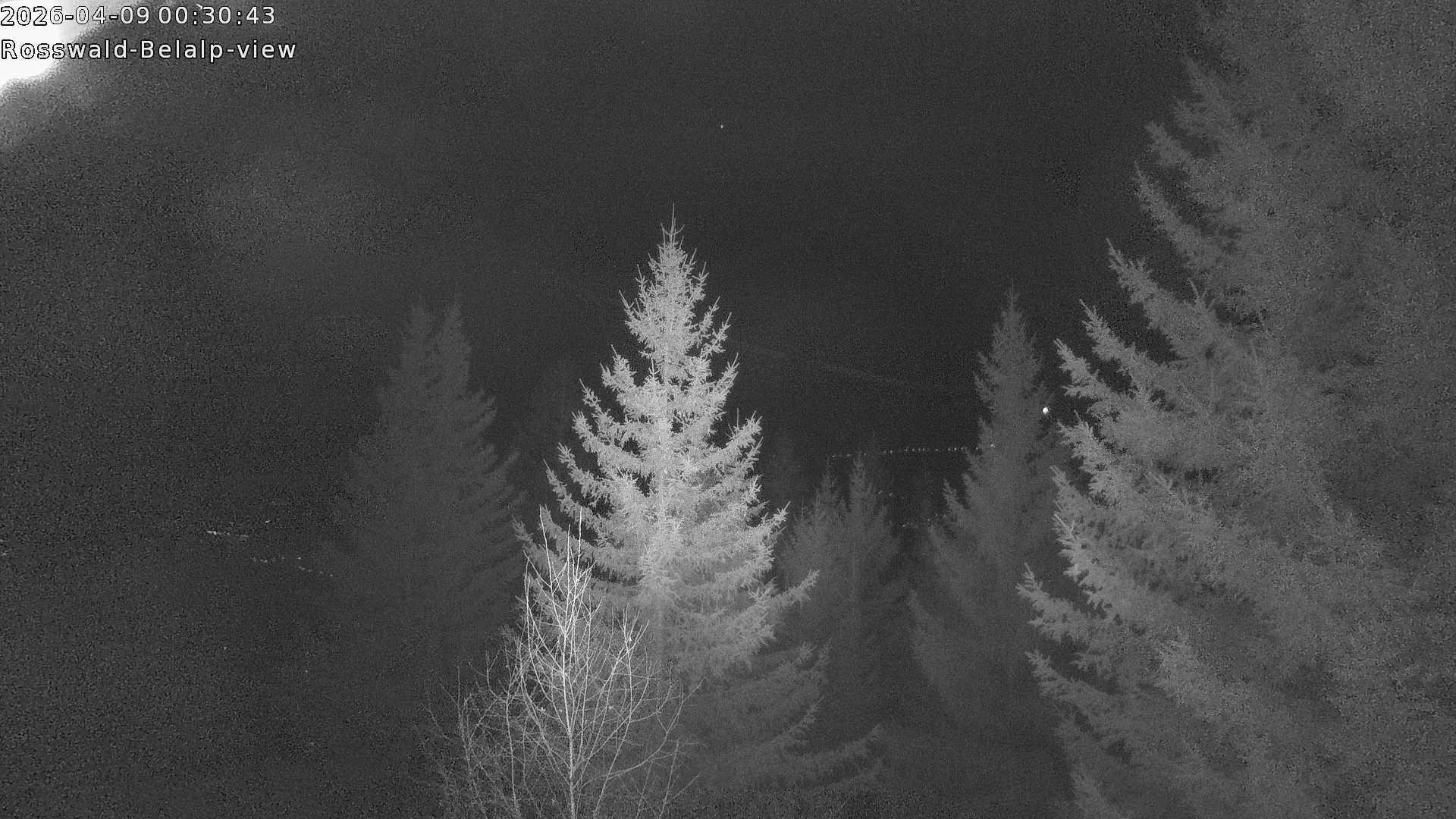 Archived image Webcam Rosswald - Bärgfriedu