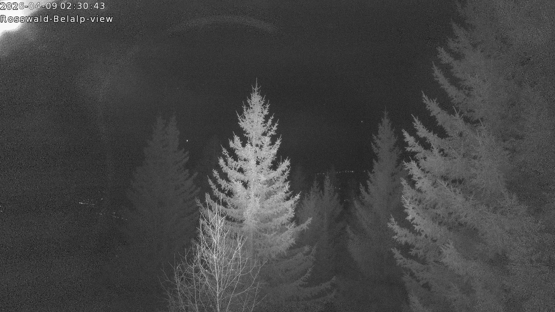 Archived image Webcam Rosswald - Bärgfriedu