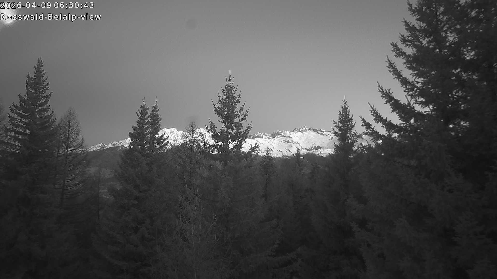 Archived image Webcam Rosswald - Bärgfriedu