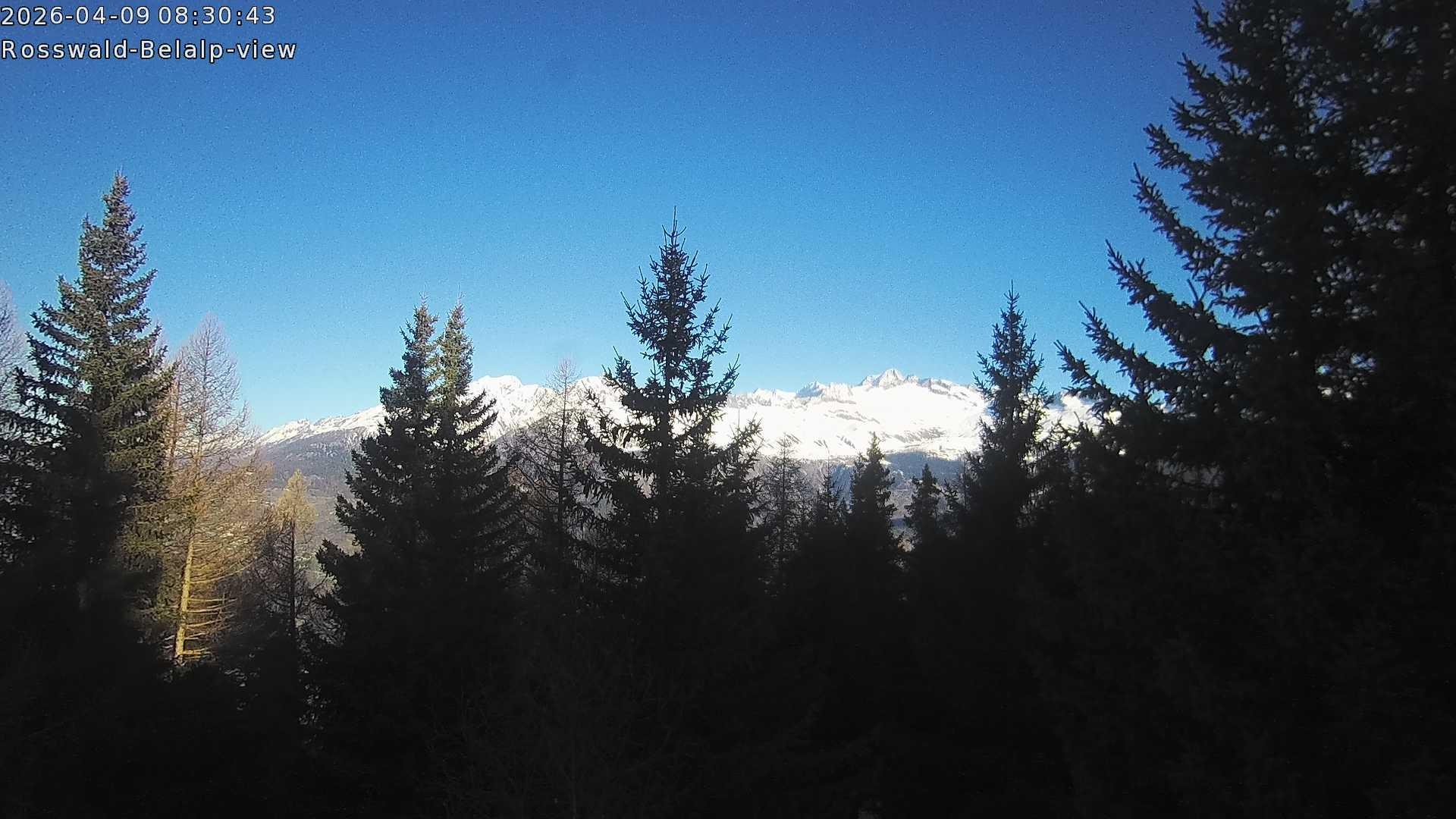 Archiv Foto Webcam Rosswald - Chalet Bergfriede
