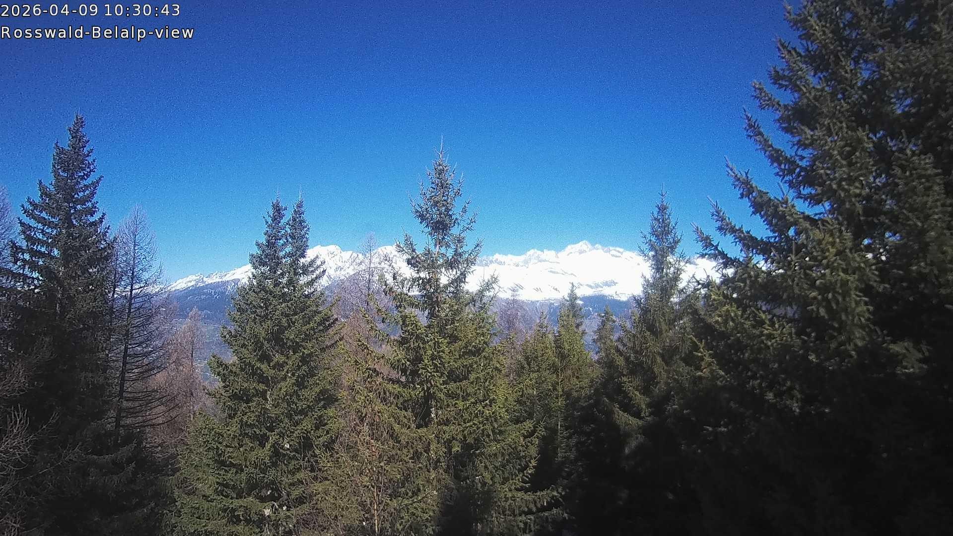 Archiv Foto Webcam Rosswald - Chalet Bergfriede