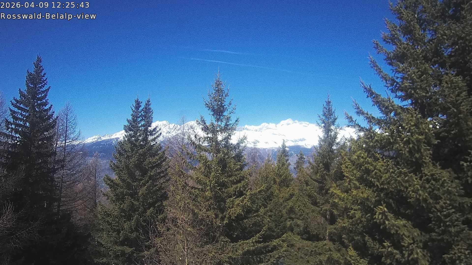 Archiv Foto Webcam Rosswald - Chalet Bergfriede