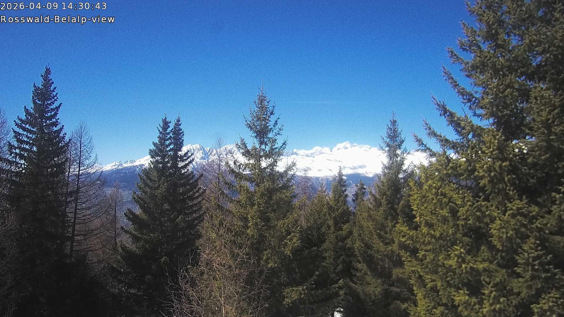 Archiv Foto Webcam Rosswald - Chalet Bergfriede