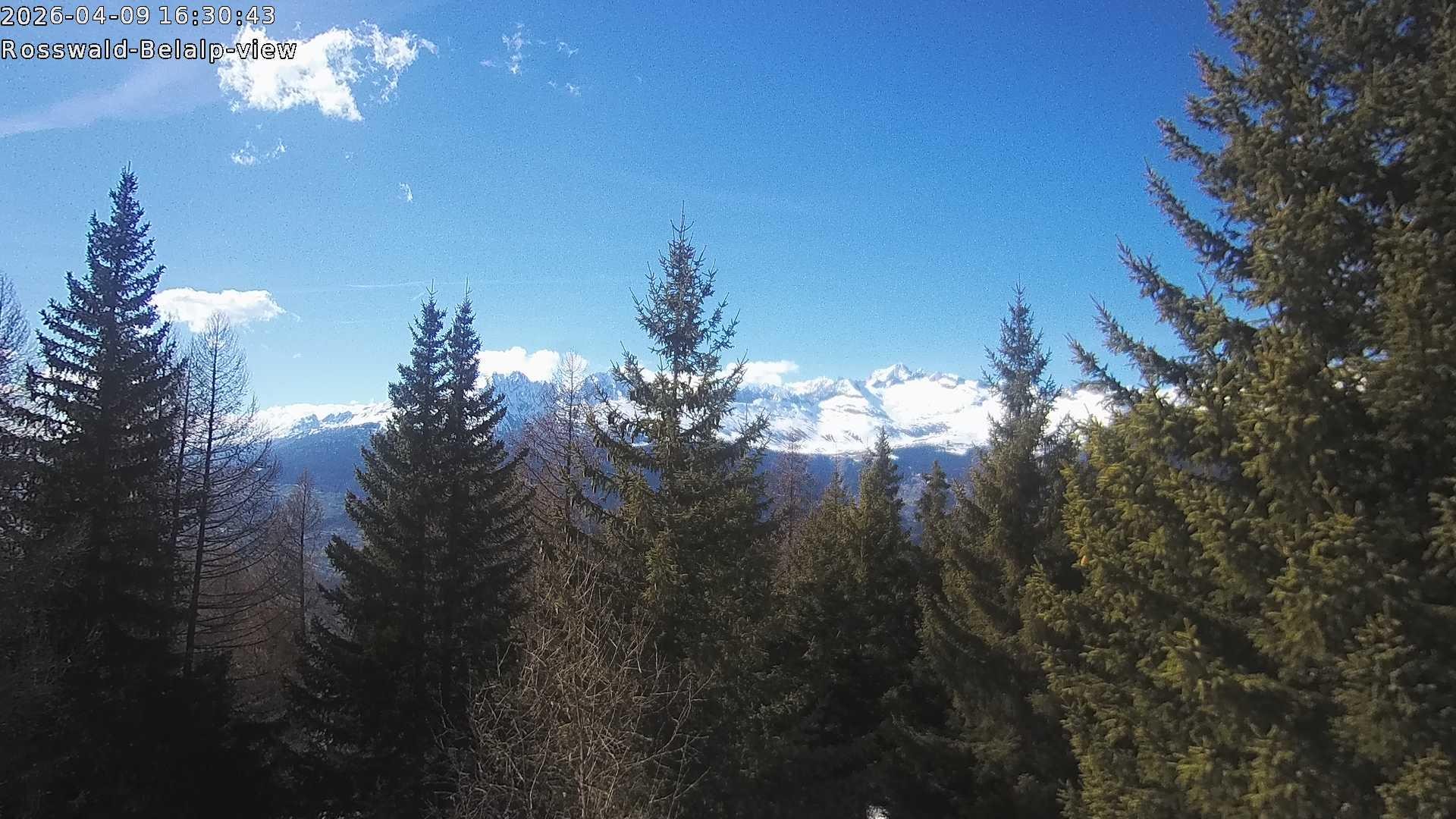 Archiv Foto Webcam Rosswald - Chalet Bergfriede