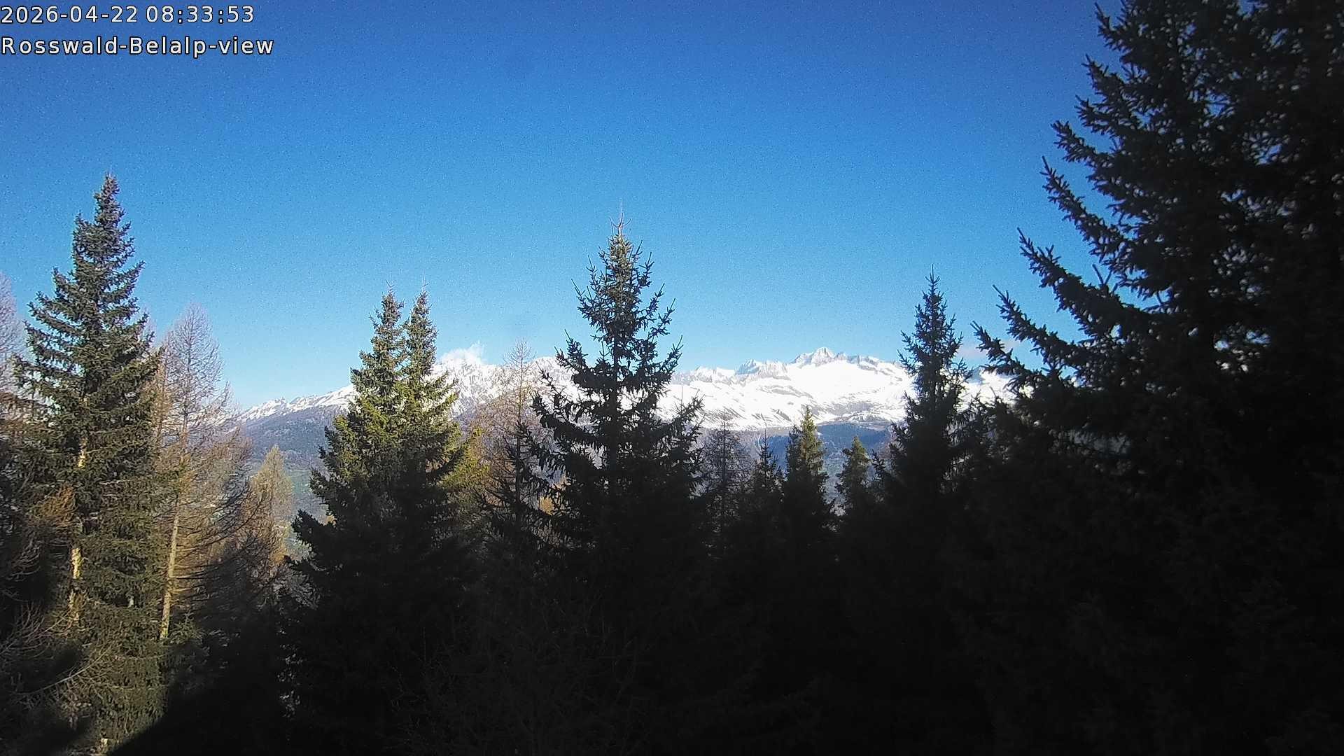 Archiv Foto Webcam Rosswald - Chalet Bergfriede