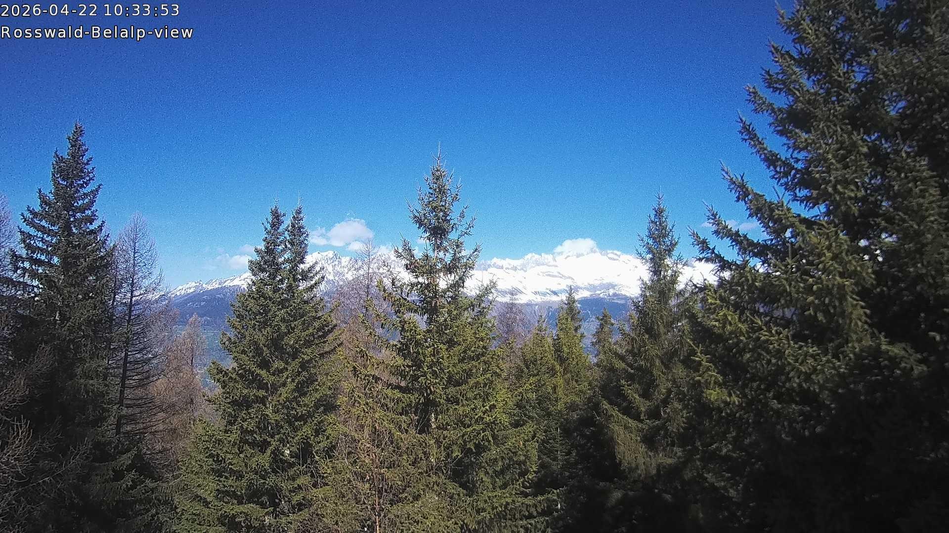 Archiv Foto Webcam Rosswald - Chalet Bergfriede