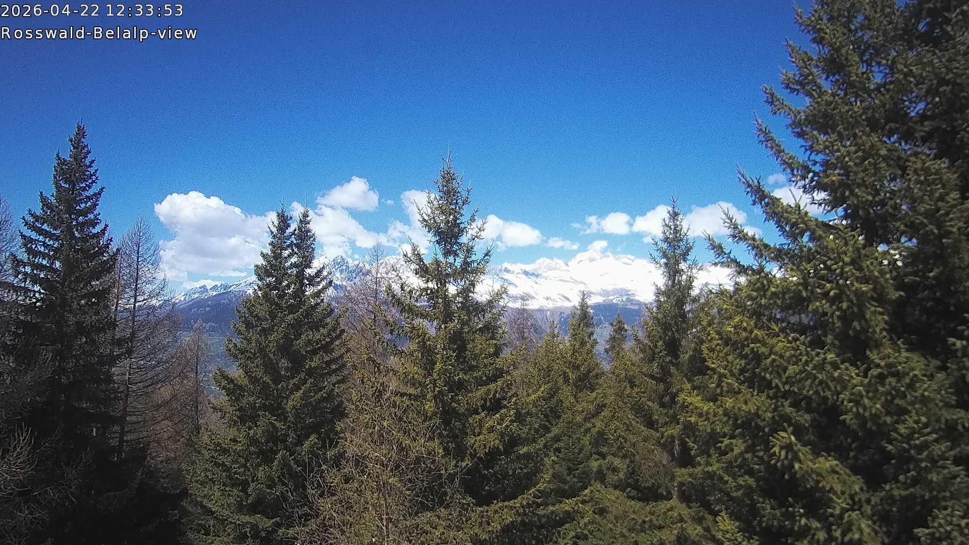 Archiv Foto Webcam Rosswald - Chalet Bergfriede