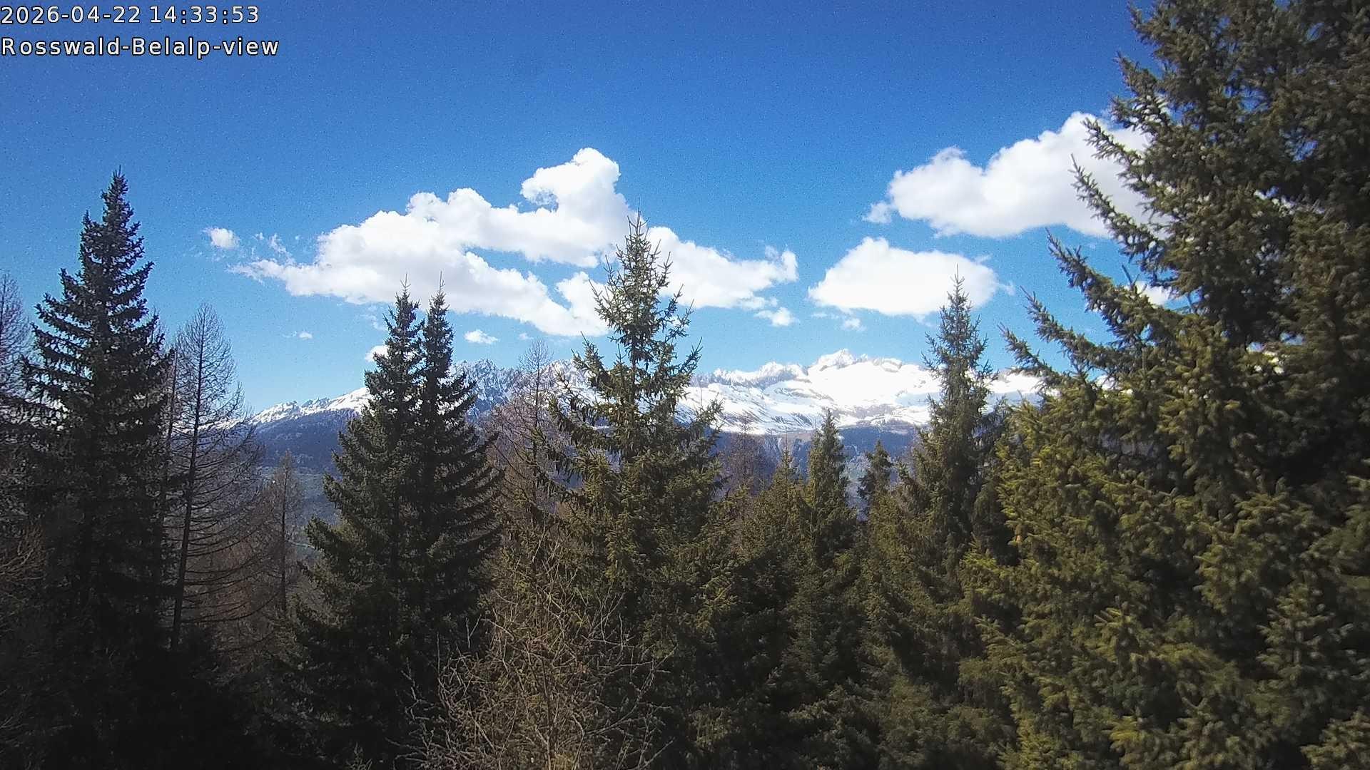 Archiv Foto Webcam Rosswald - Chalet Bergfriede