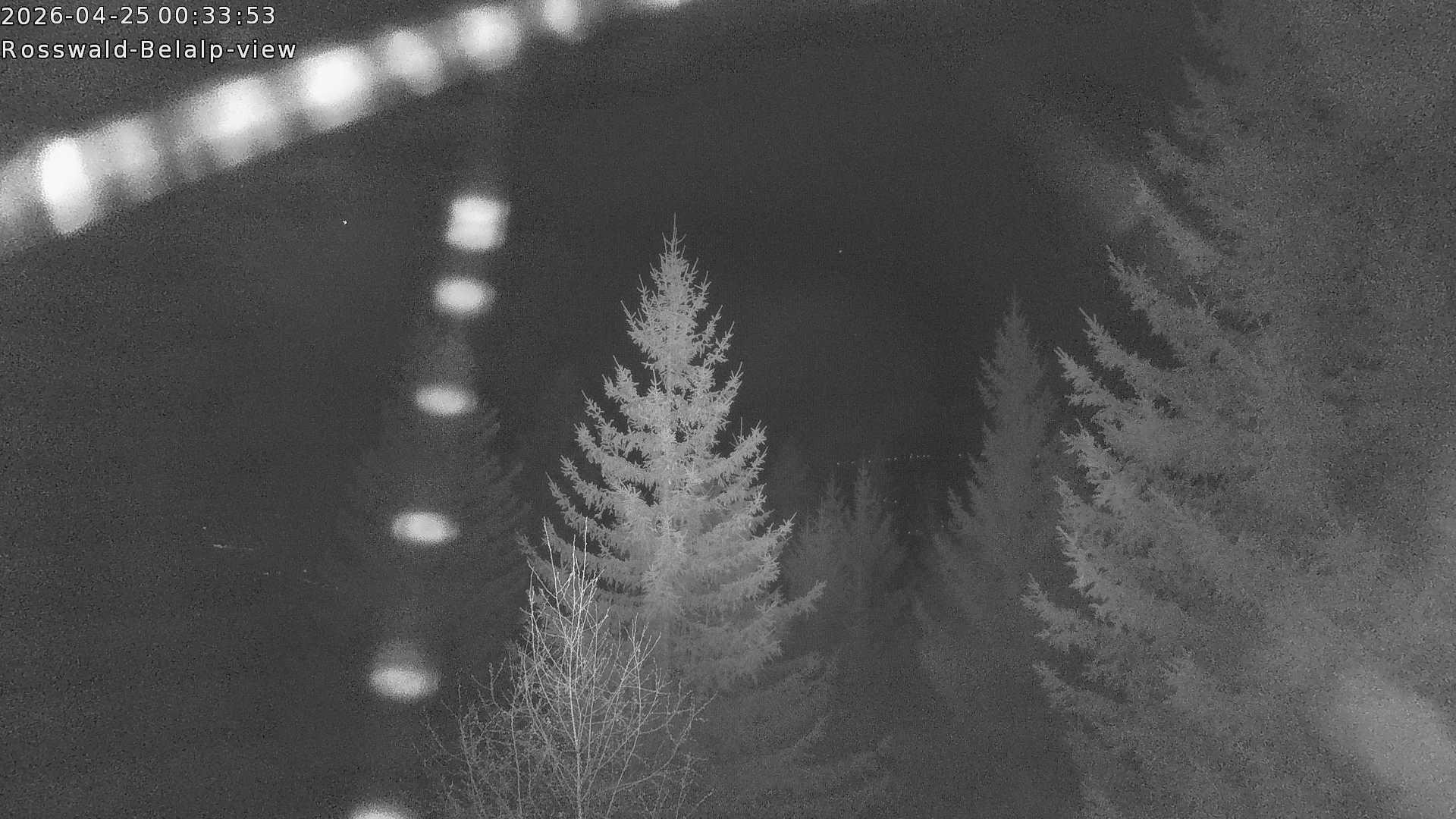 Archived image Webcam Rosswald - Bärgfriedu