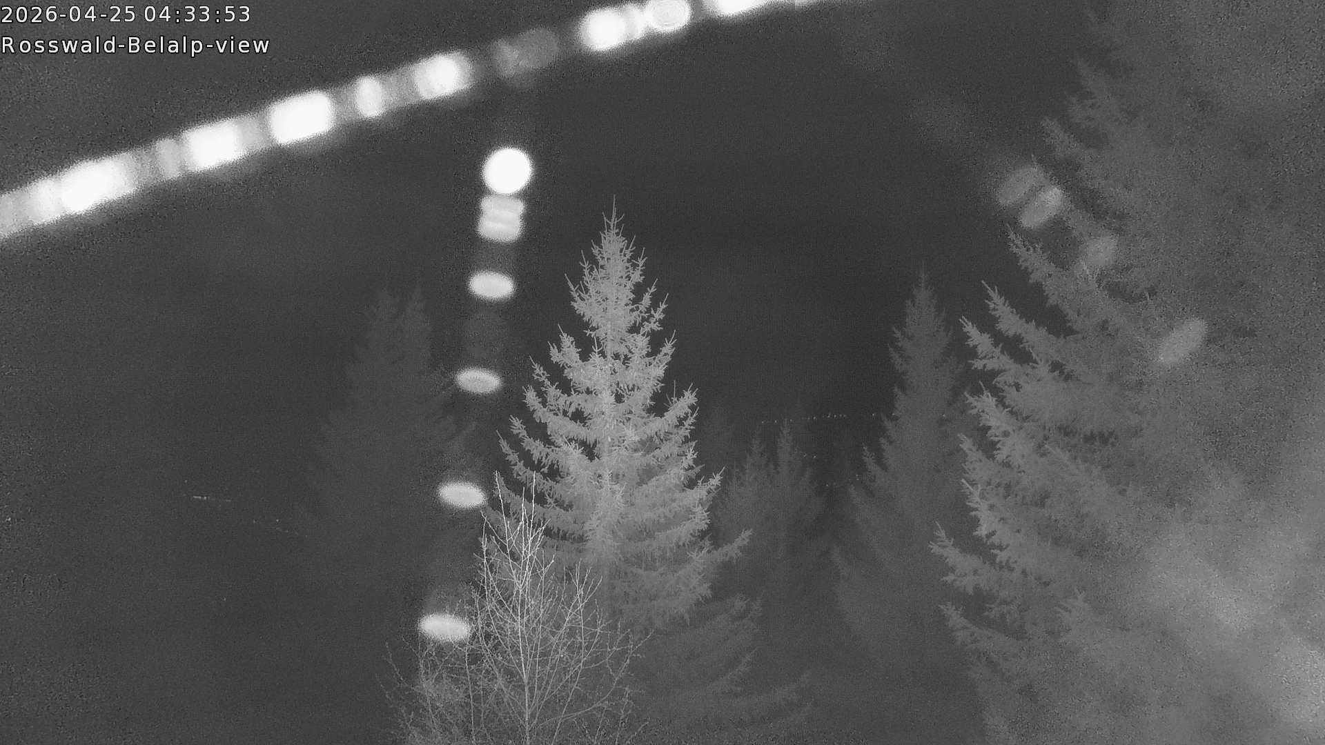 Archived image Webcam Rosswald - Bärgfriedu