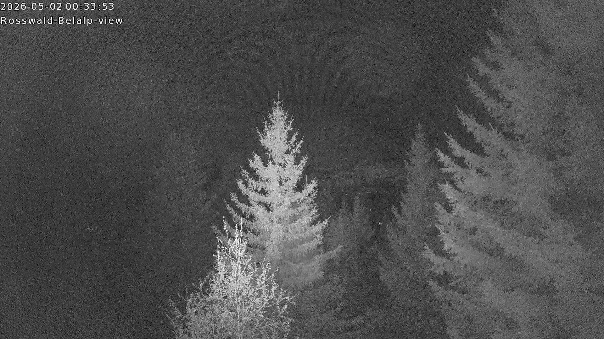 Archived image Webcam Rosswald - Bärgfriedu
