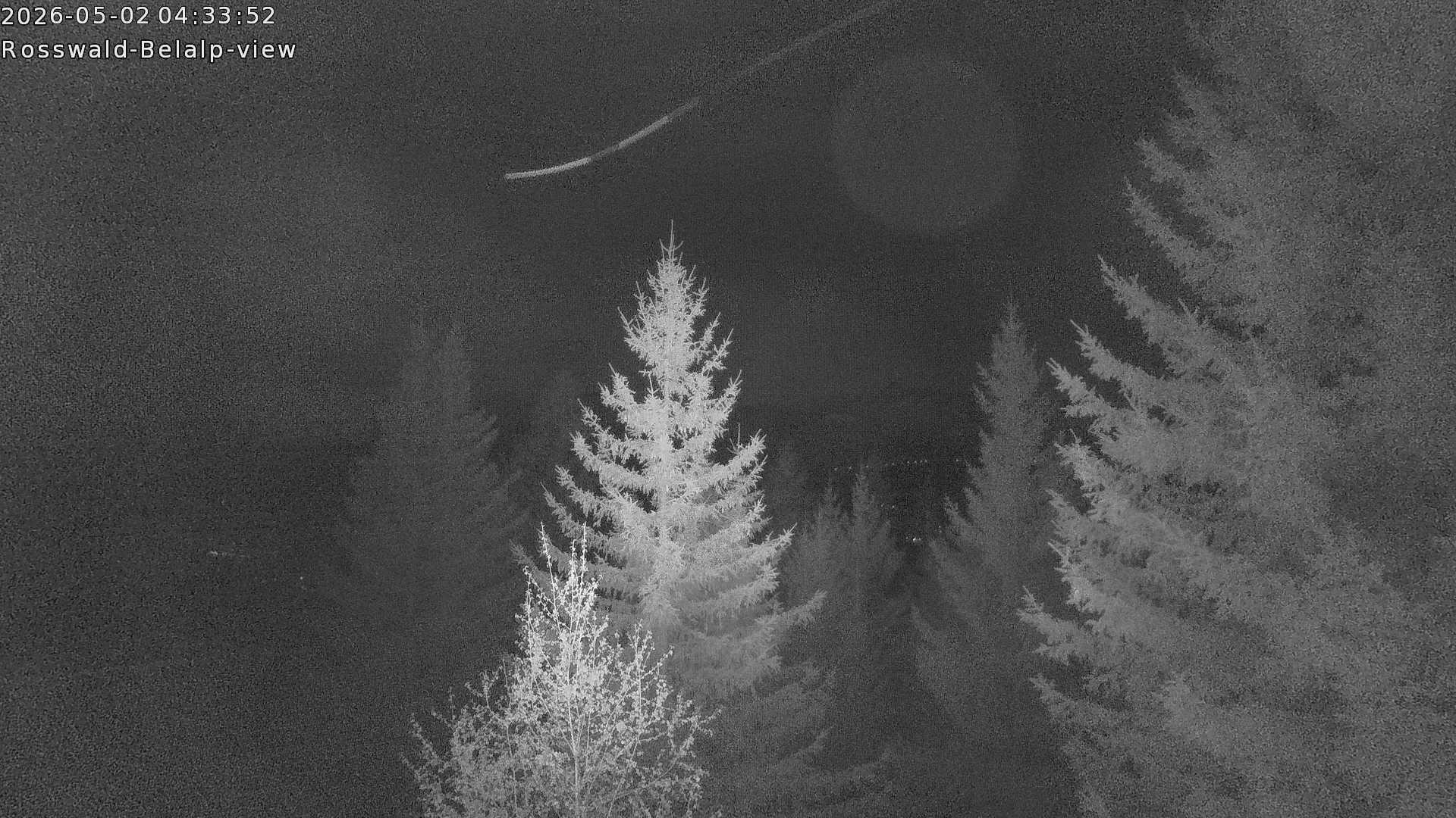 Archived image Webcam Rosswald - Bärgfriedu