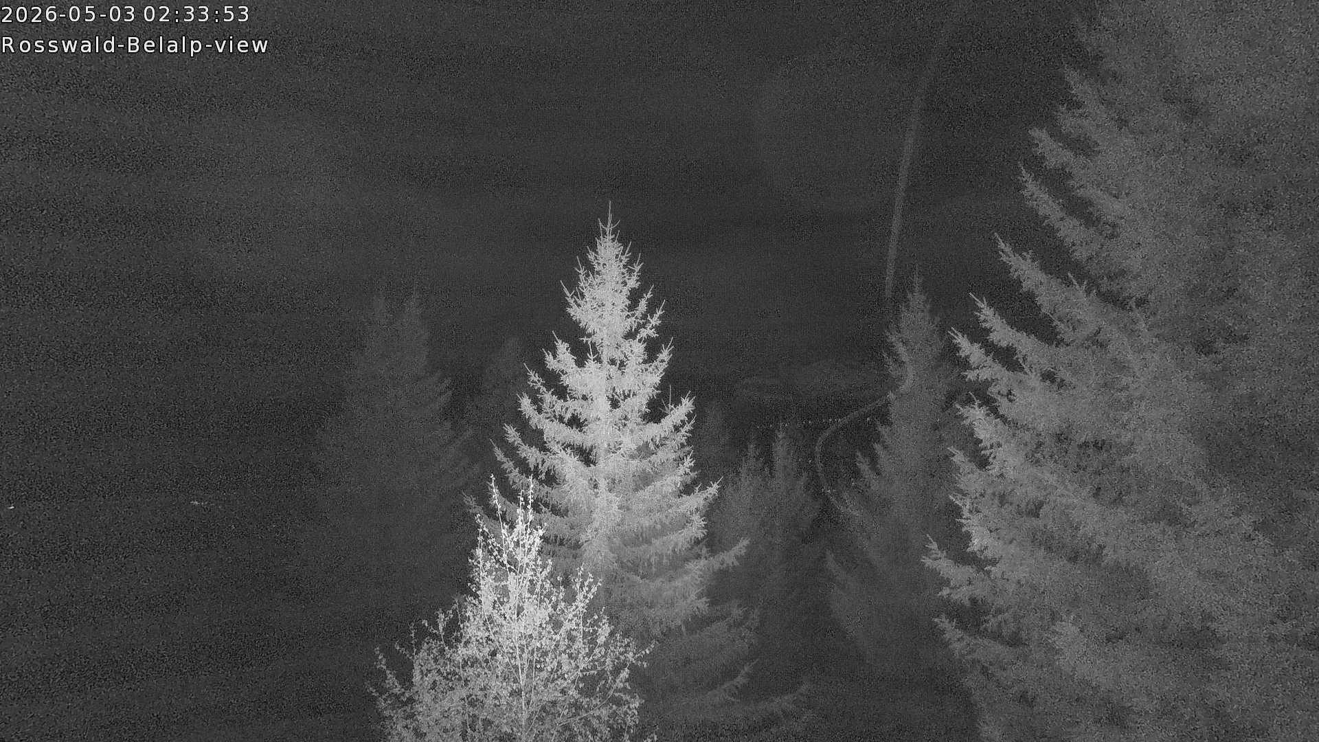 Archived image Webcam Rosswald - Bärgfriedu
