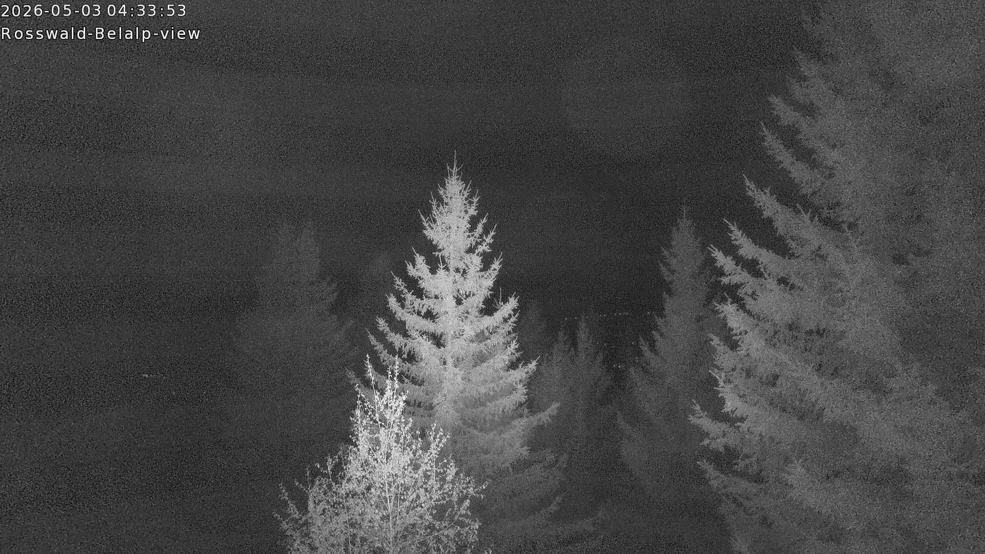Archived image Webcam Rosswald - Bärgfriedu