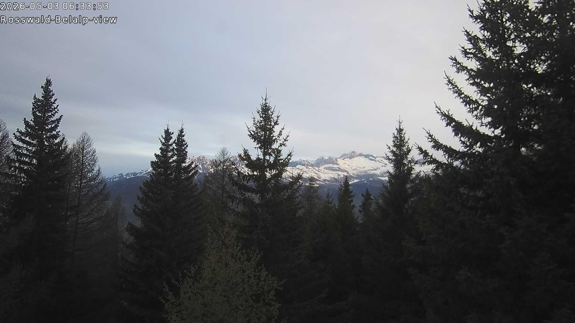 Archived image Webcam Rosswald - Bärgfriedu