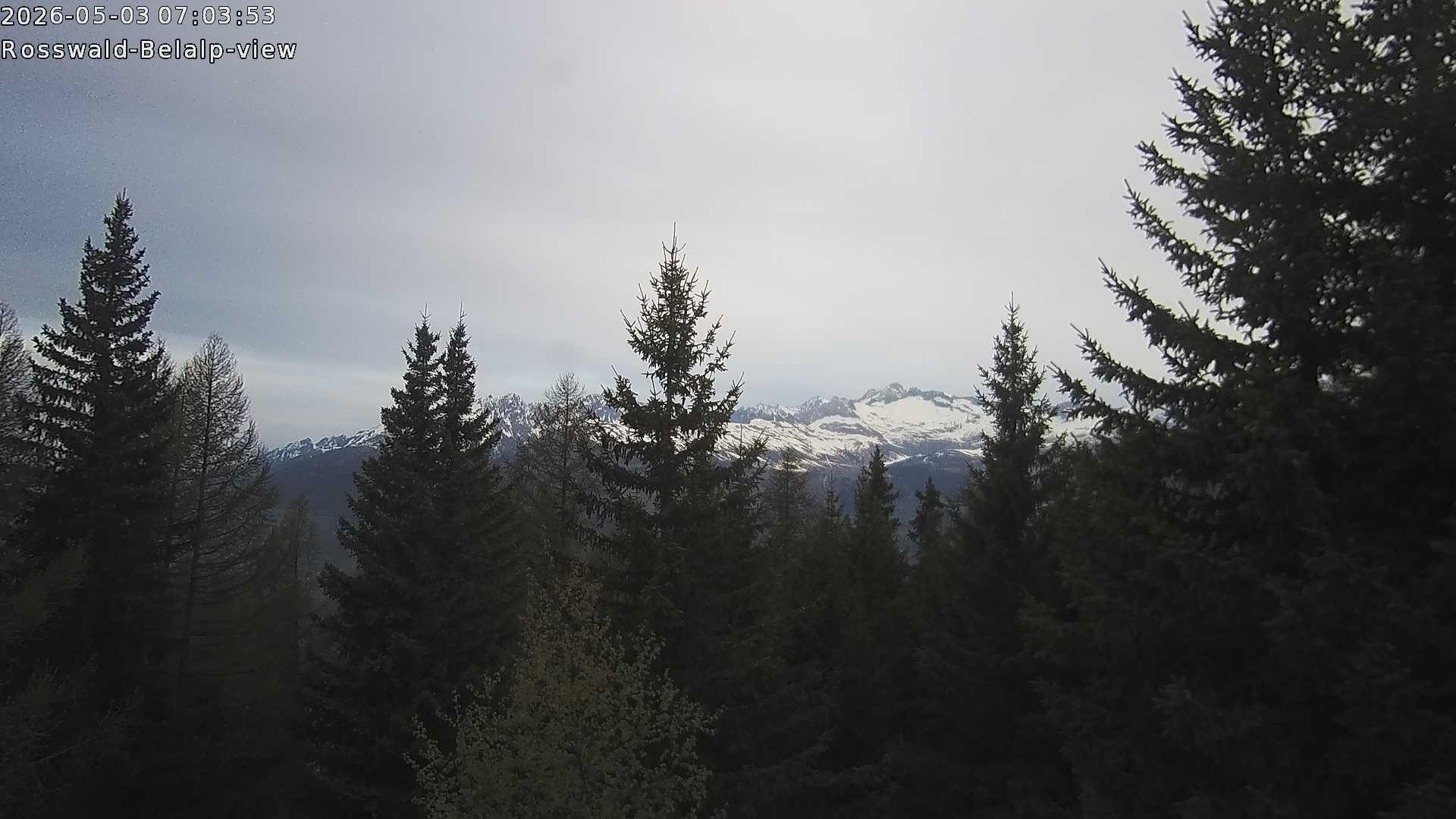 Archived image Webcam Rosswald - Bärgfriedu