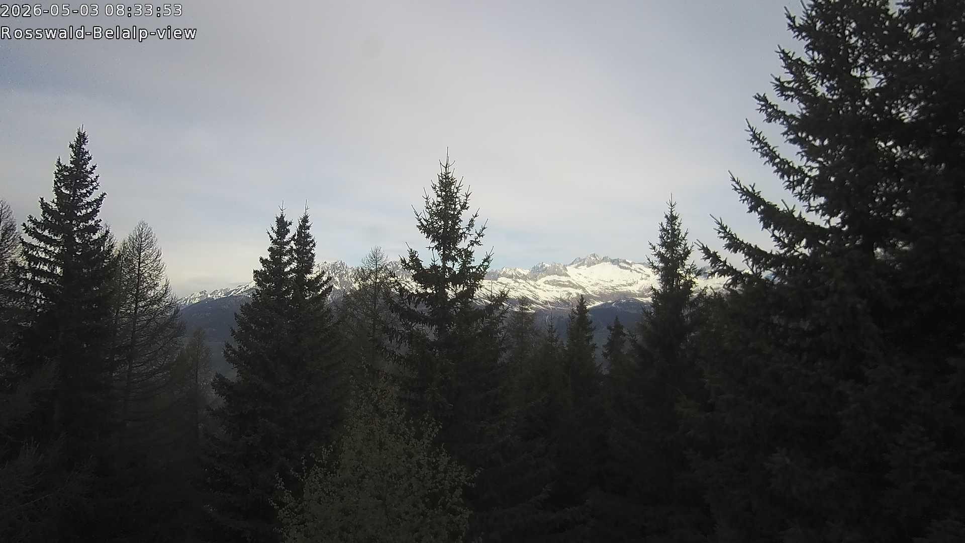 Archived image Webcam Rosswald - Bärgfriedu