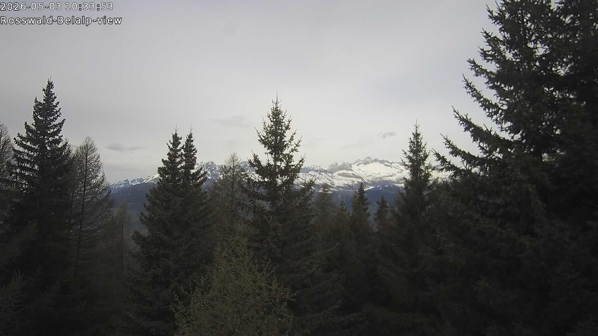 Archived image Webcam Rosswald - Bärgfriedu