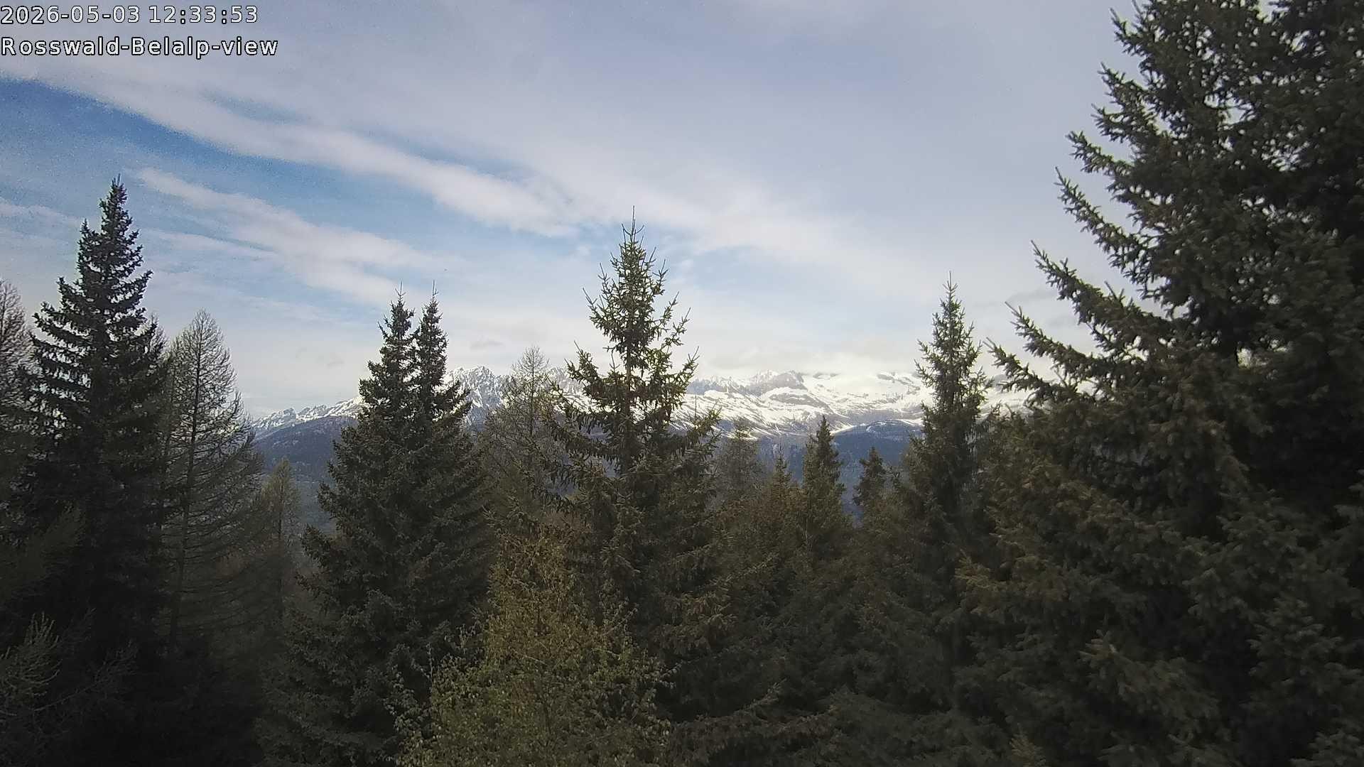 Archived image Webcam Rosswald - Bärgfriedu