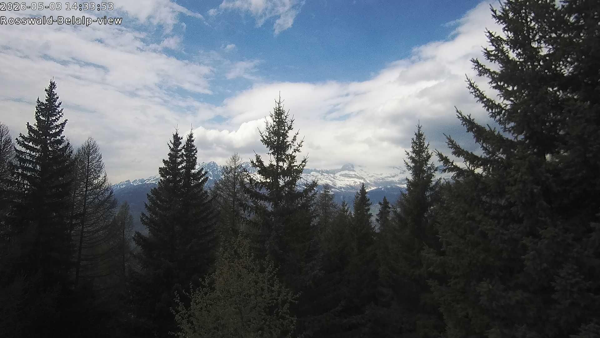 Archived image Webcam Rosswald - Bärgfriedu