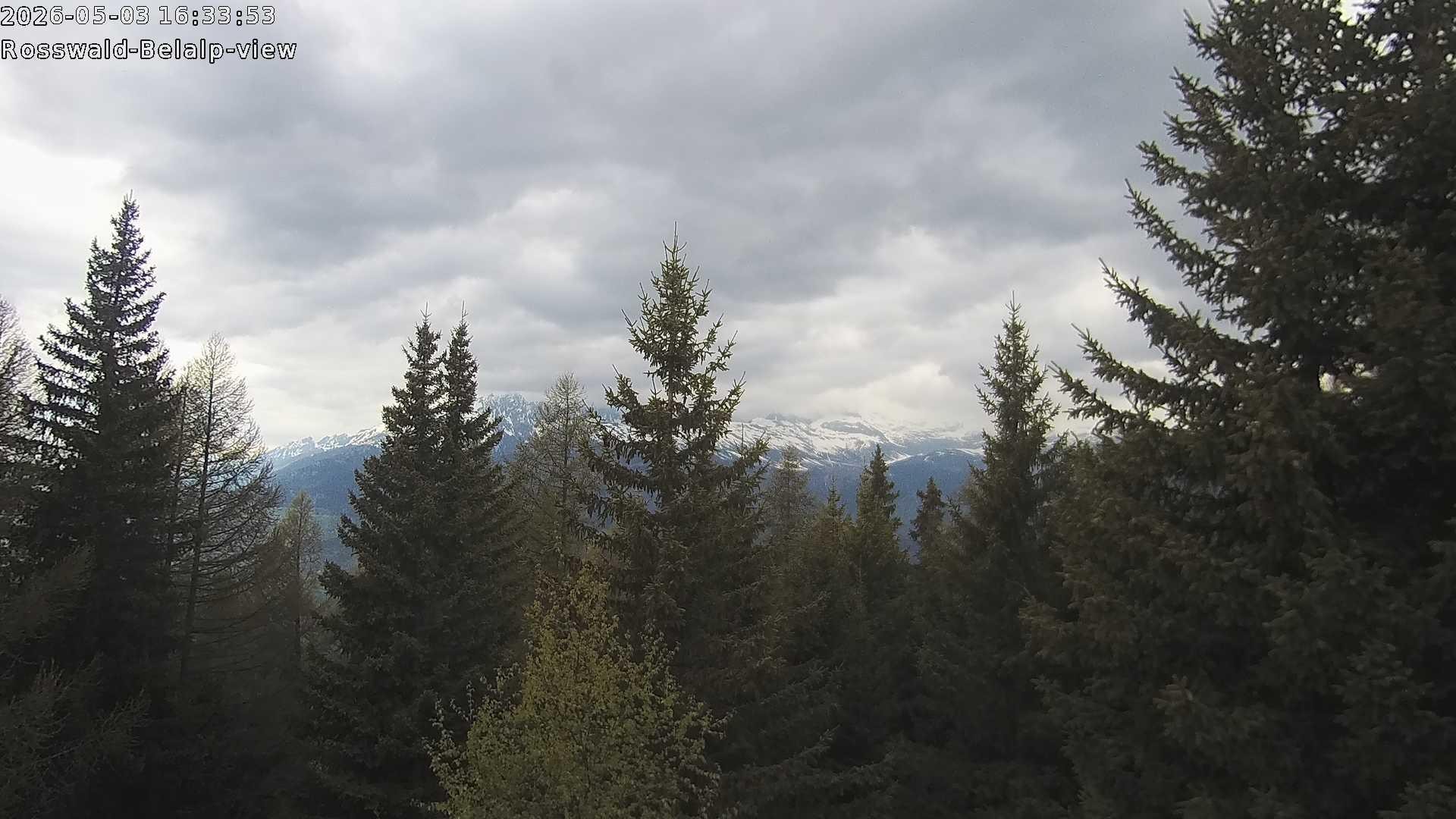 Archived image Webcam Rosswald - Bärgfriedu