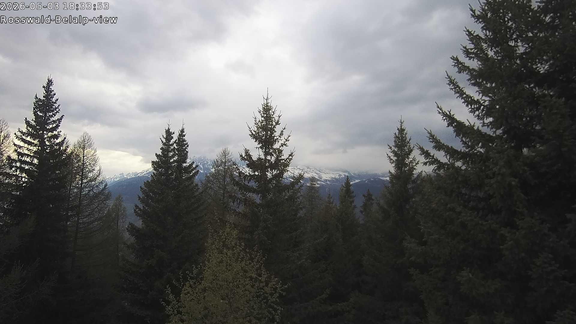 Archived image Webcam Rosswald - Bärgfriedu
