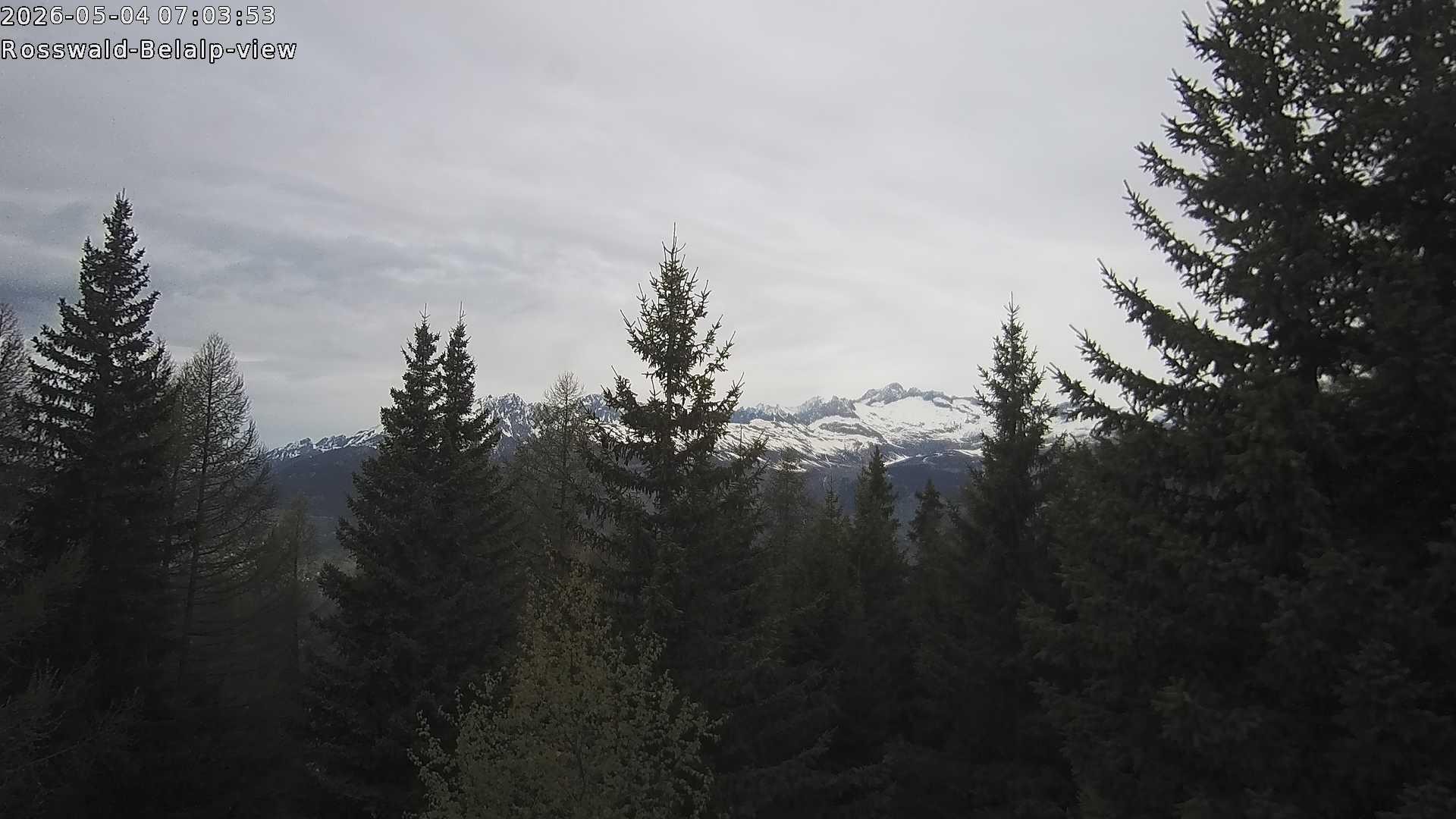 Archiv Foto Webcam Rosswald - Chalet Bergfriede