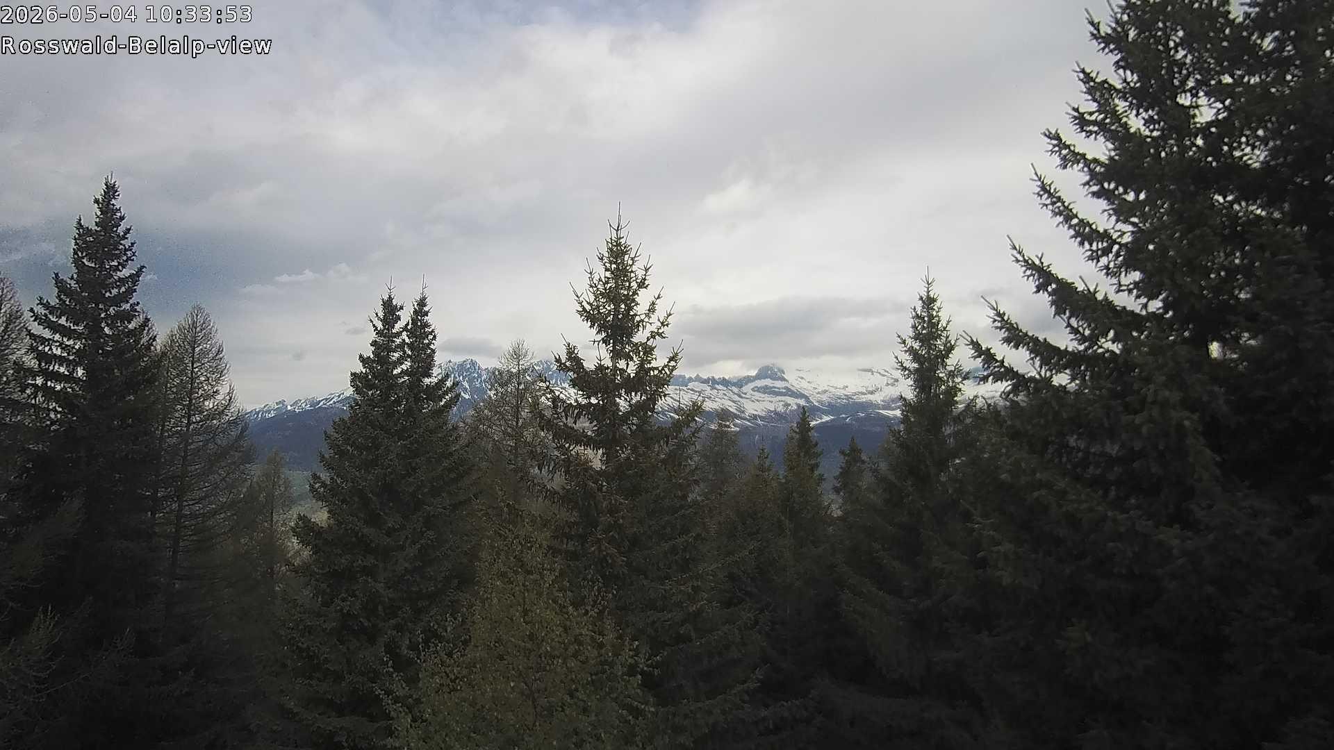 Archiv Foto Webcam Rosswald - Chalet Bergfriede
