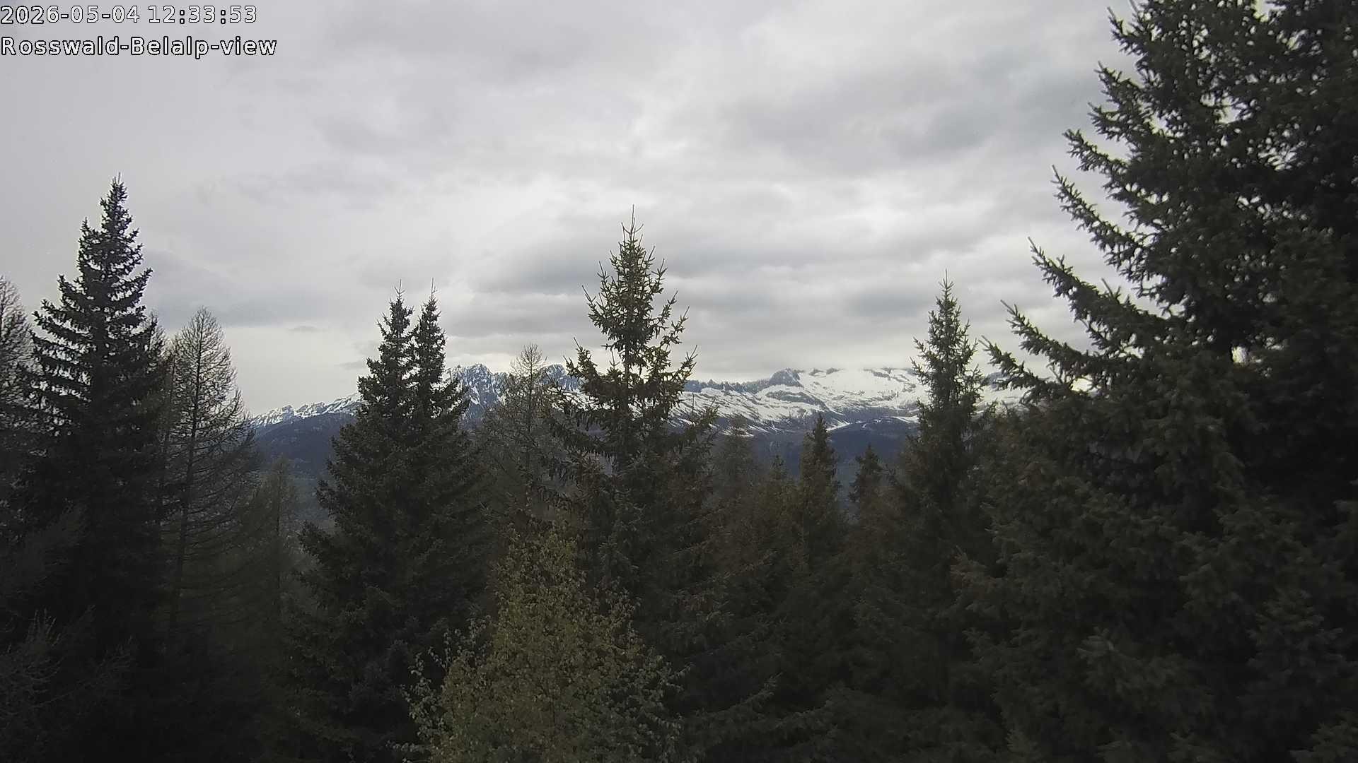 Archiv Foto Webcam Rosswald - Chalet Bergfriede