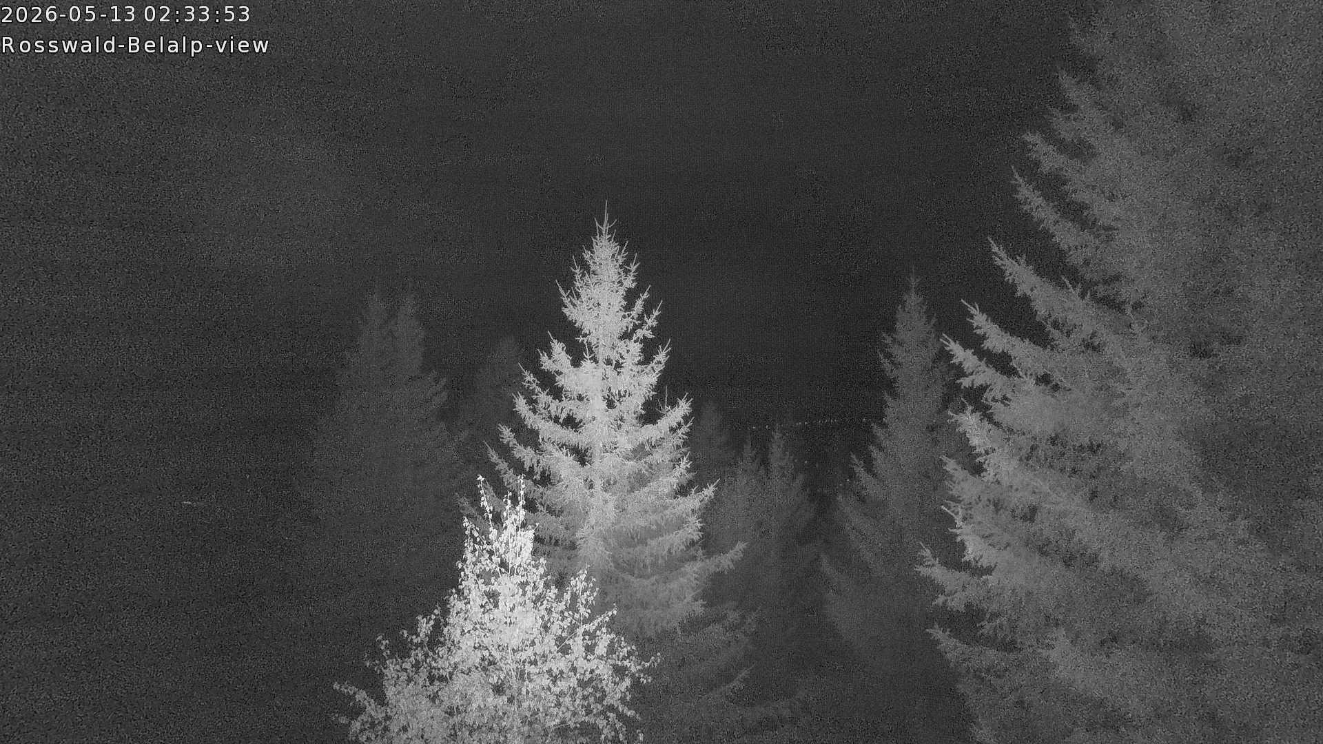 Archiv Foto Webcam Rosswald - Chalet Bergfriede