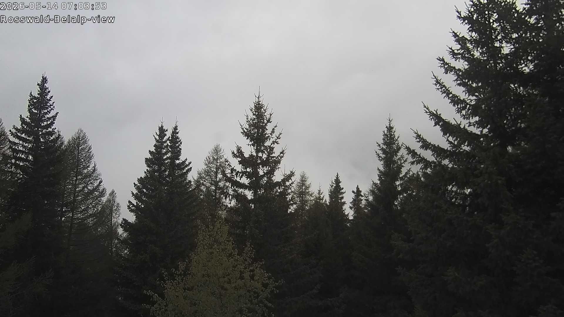 Archiv Foto Webcam Rosswald - Chalet Bergfriede