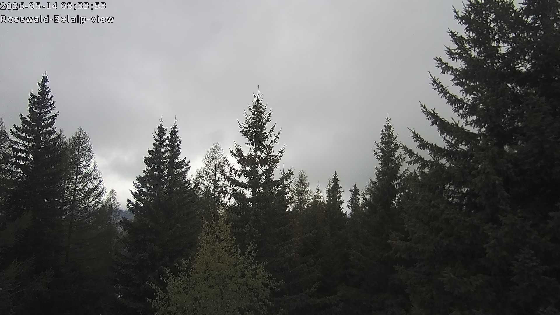 Archiv Foto Webcam Rosswald - Chalet Bergfriede