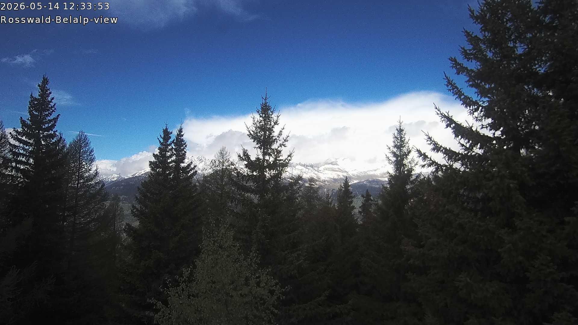 Archiv Foto Webcam Rosswald - Chalet Bergfriede
