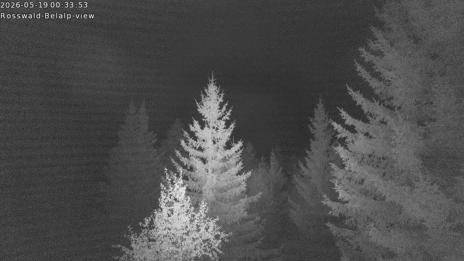 Archiv Foto Webcam Rosswald - Chalet Bergfriede