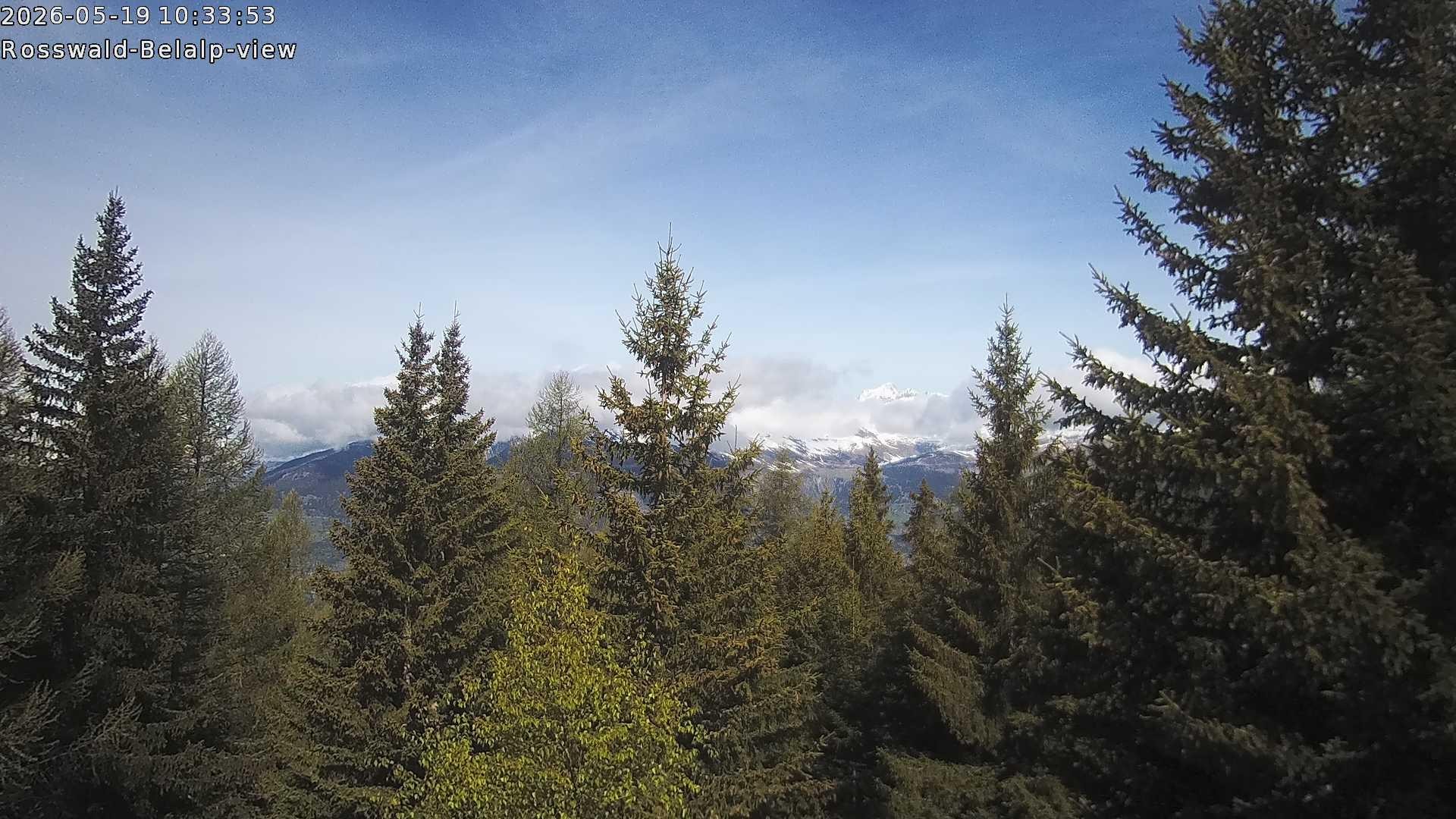 Archiv Foto Webcam Rosswald - Chalet Bergfriede