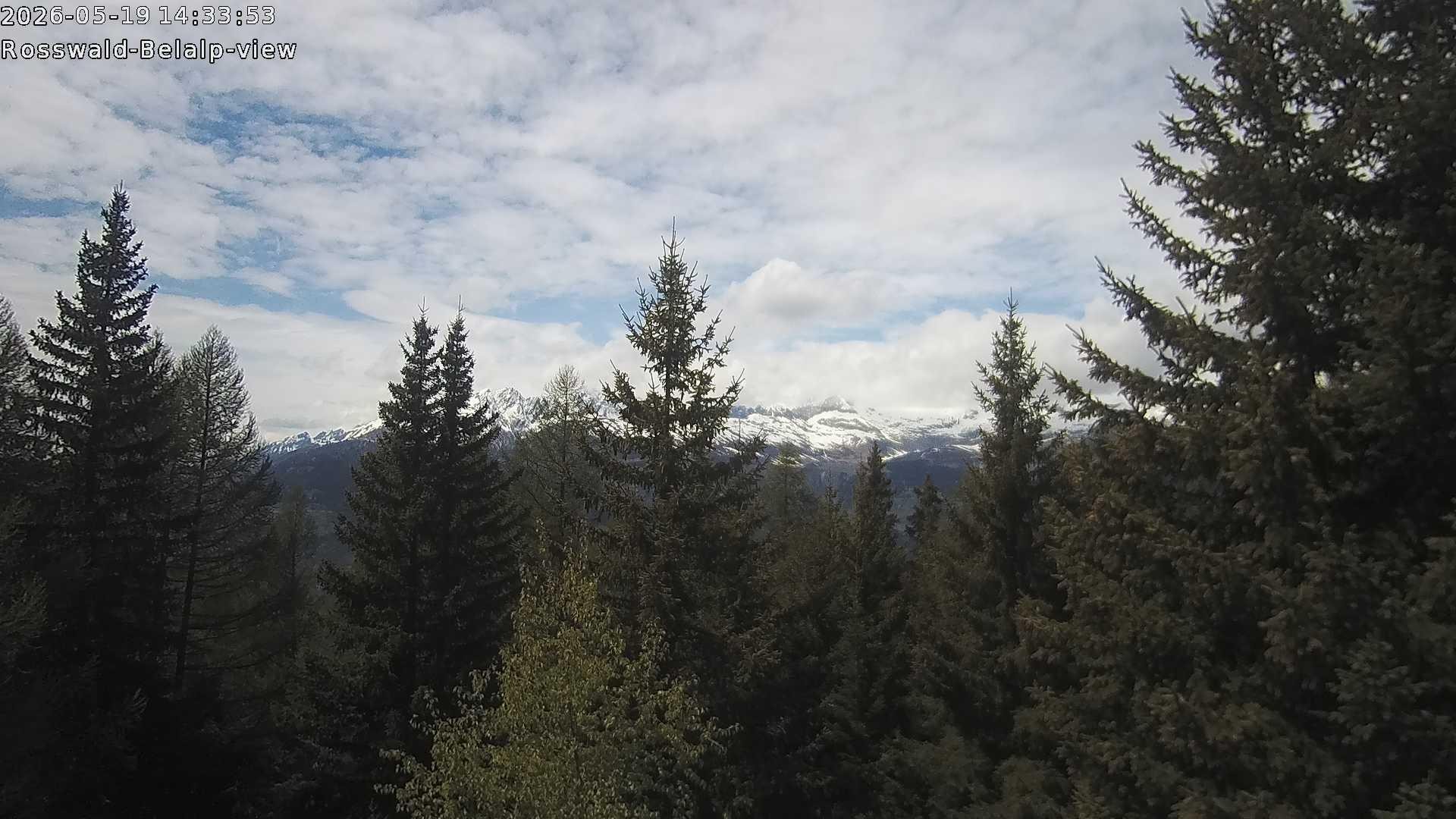 Archiv Foto Webcam Rosswald - Chalet Bergfriede