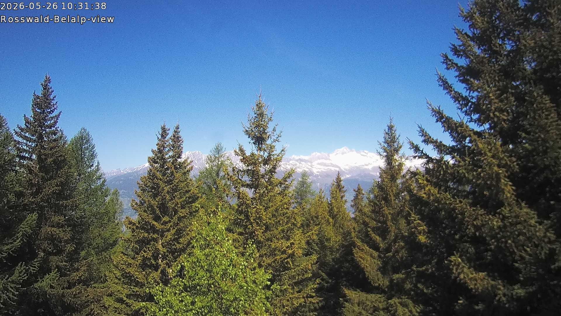 Archiv Foto Webcam Rosswald - Chalet Bergfriede