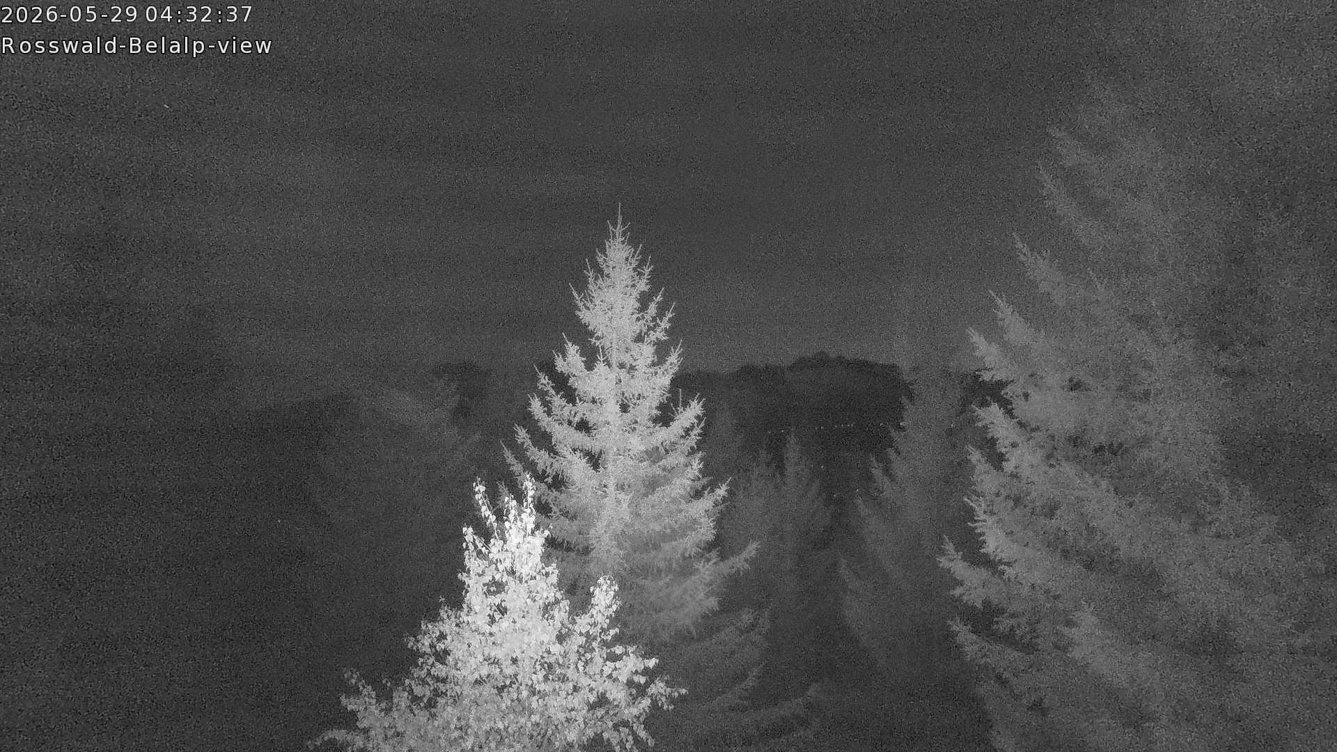 Archived image Webcam Rosswald - Bärgfriedu