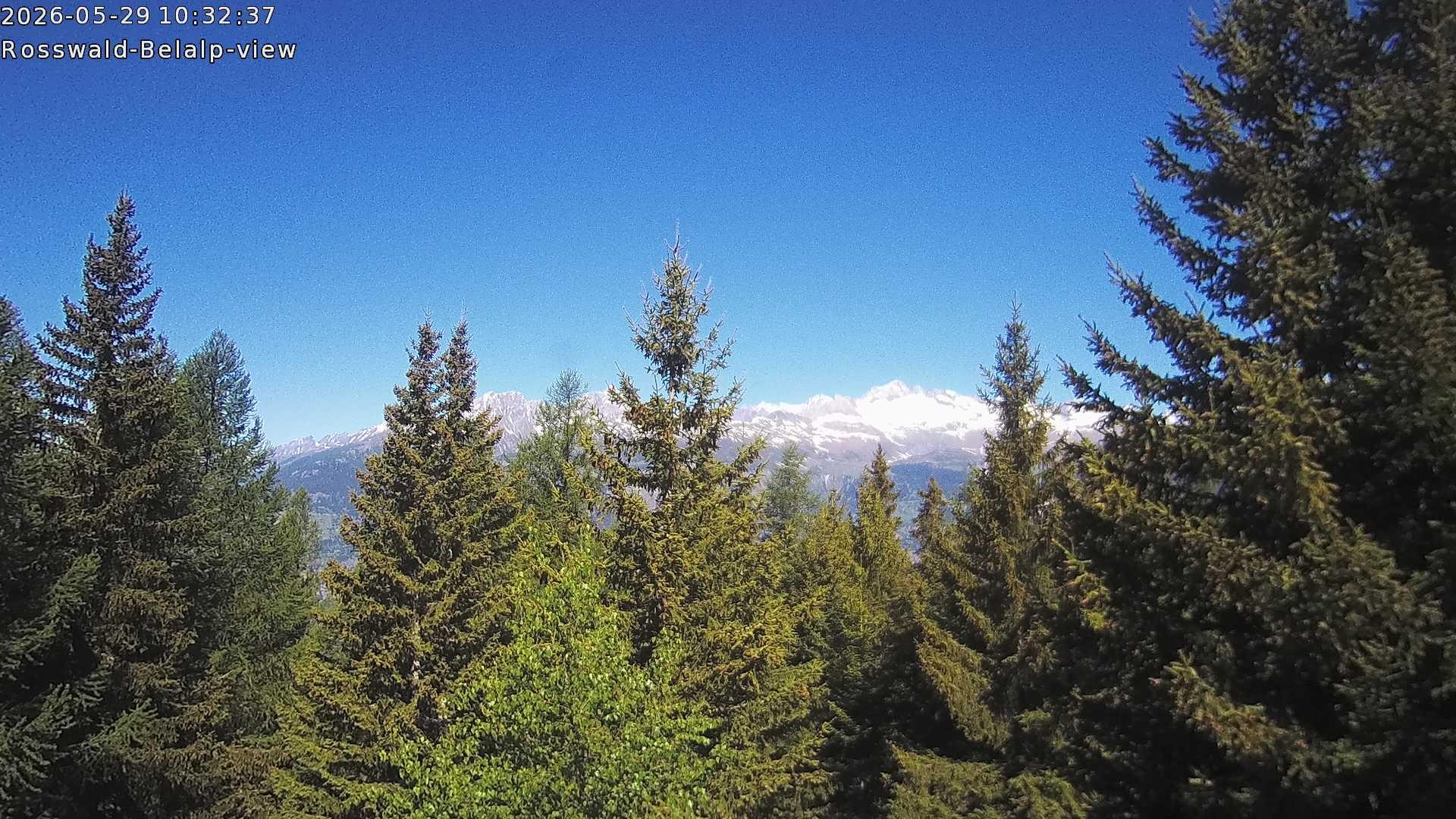 Archived image Webcam Rosswald - Bärgfriedu