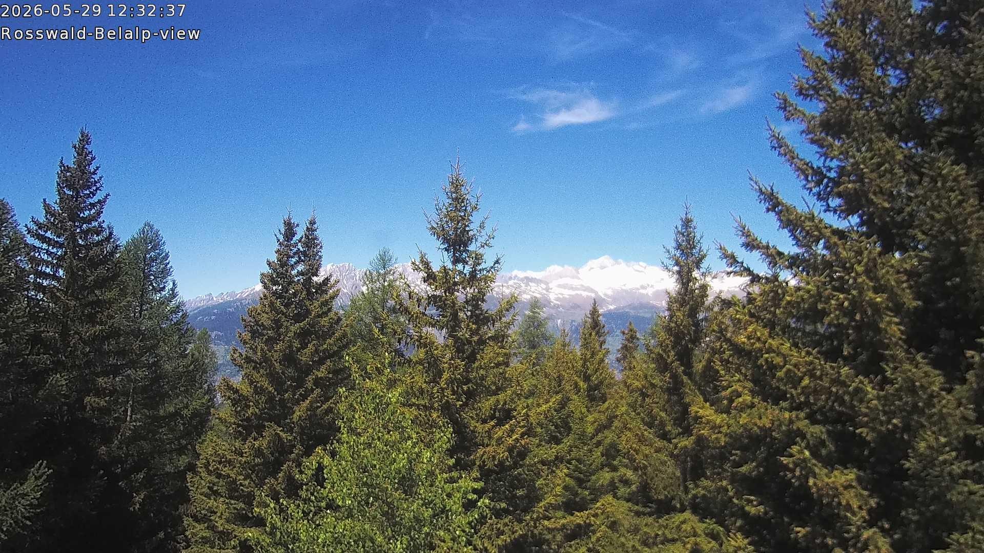Archived image Webcam Rosswald - Bärgfriedu