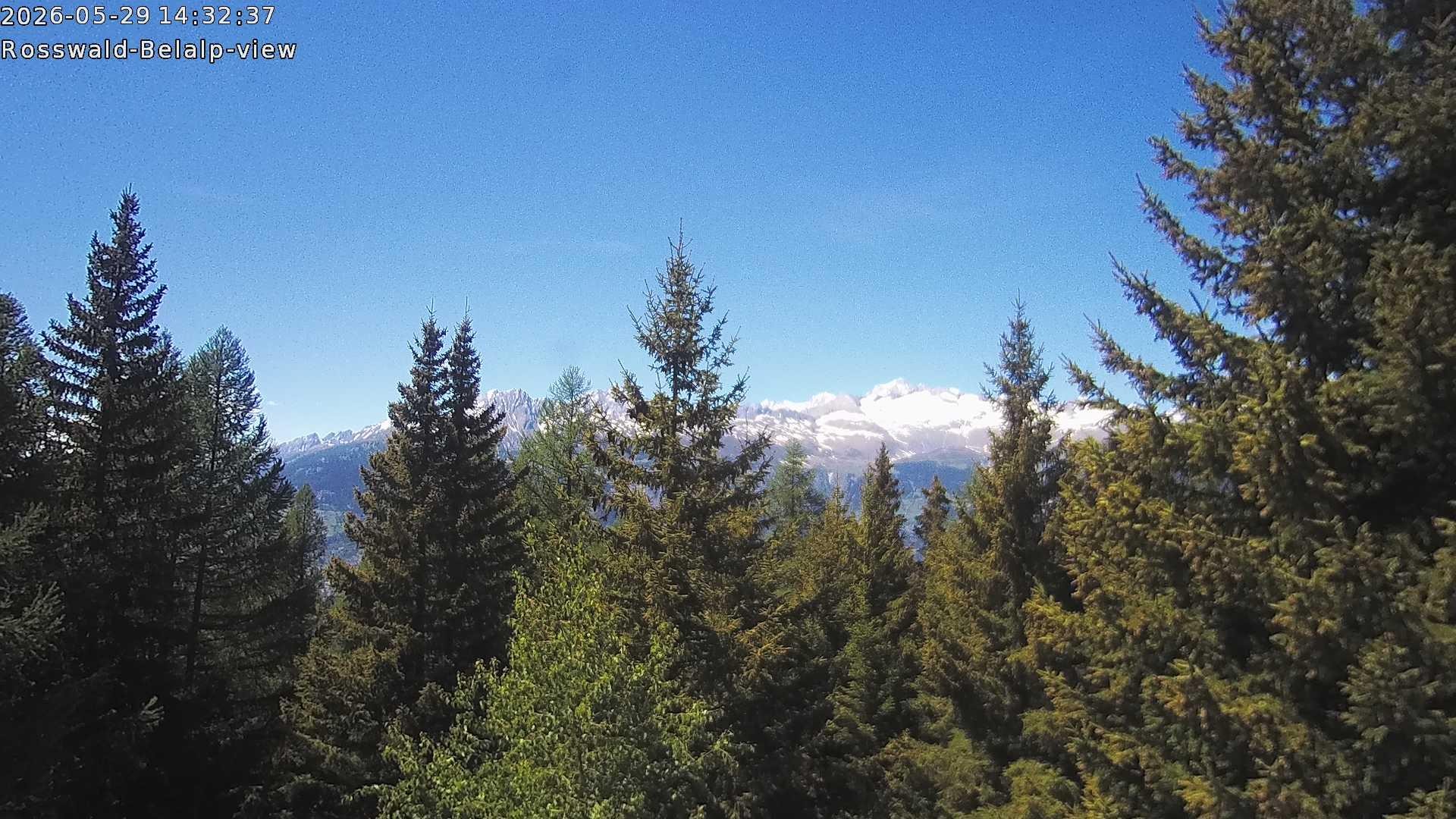 Archived image Webcam Rosswald - Bärgfriedu
