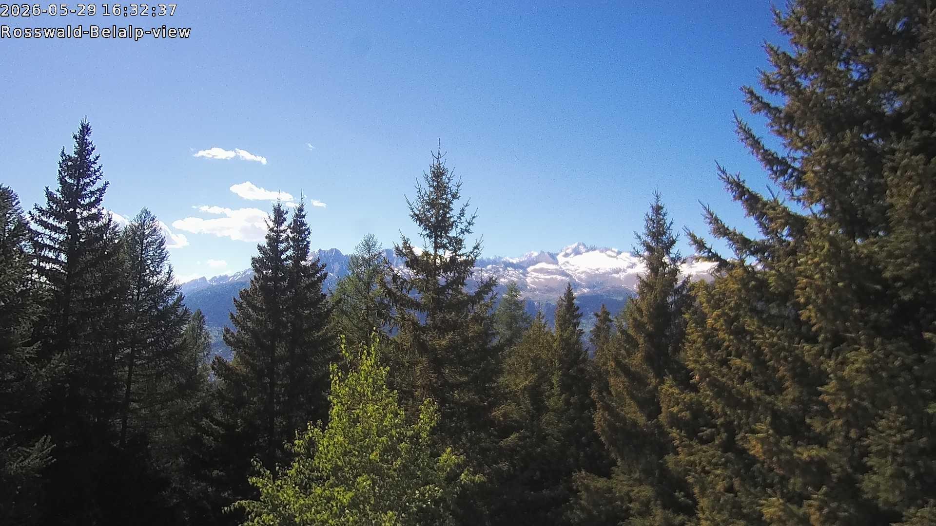 Archived image Webcam Rosswald - Bärgfriedu
