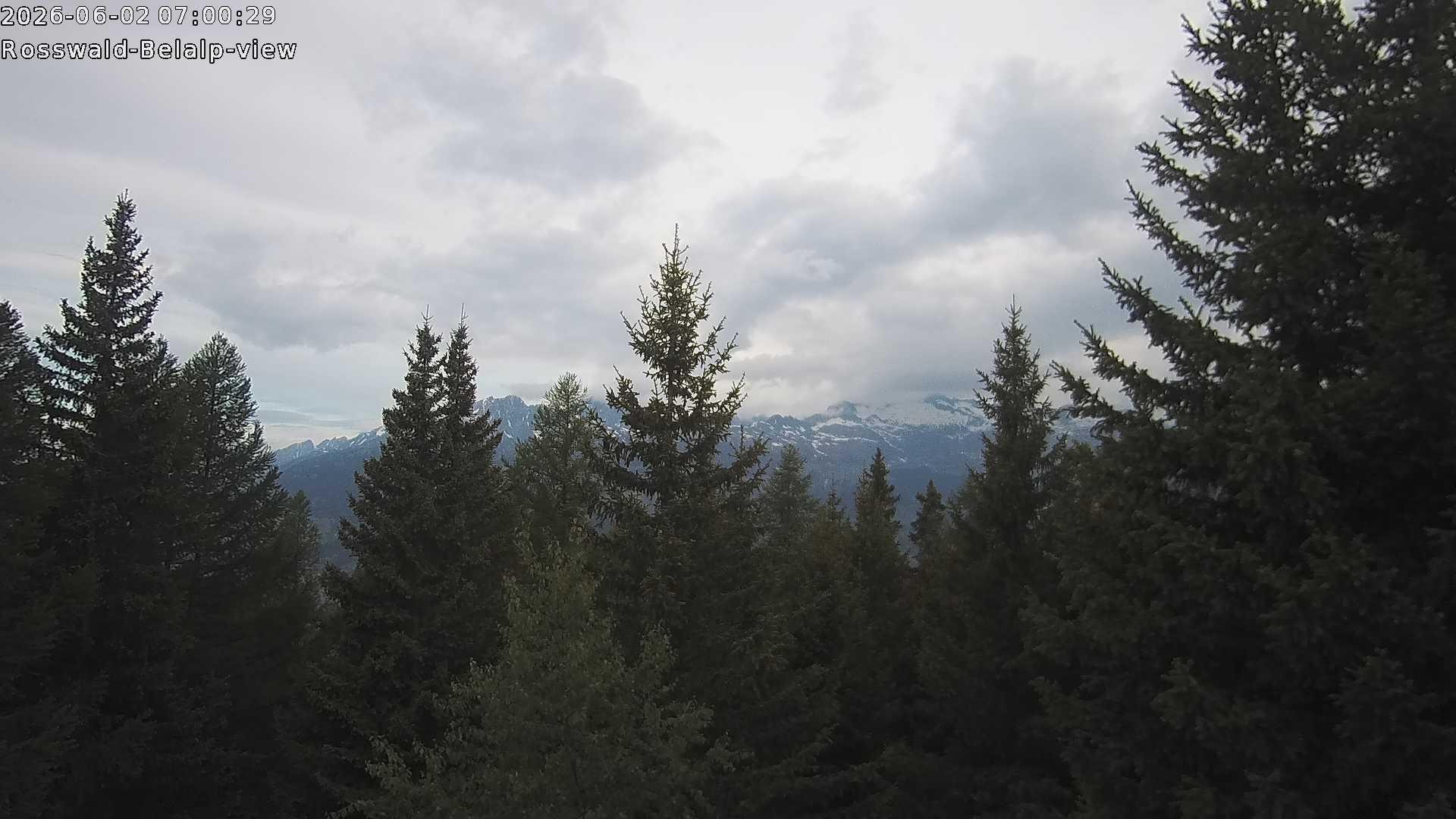 Archiv Foto Webcam Rosswald - Chalet Bergfriede