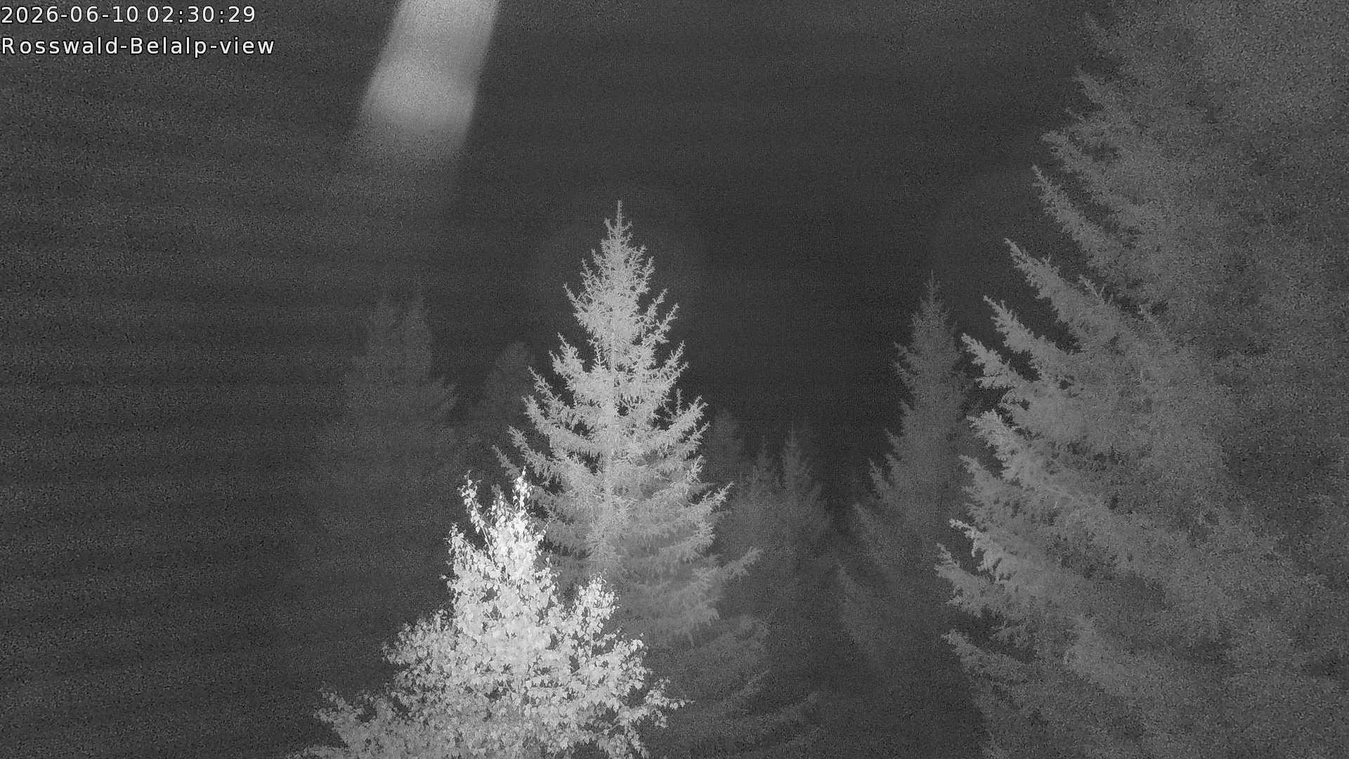 Archived image Webcam Rosswald - Bärgfriedu