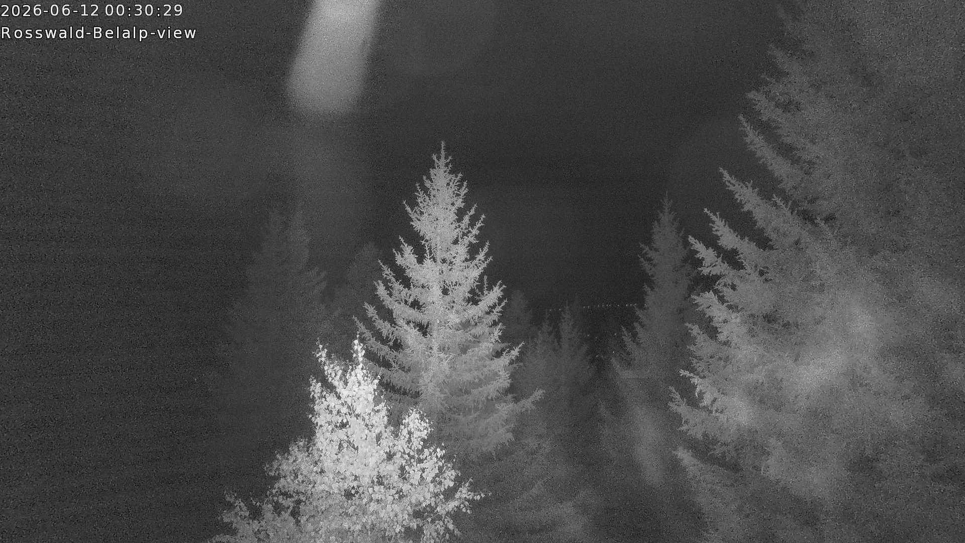 Archived image Webcam Rosswald - Bärgfriedu