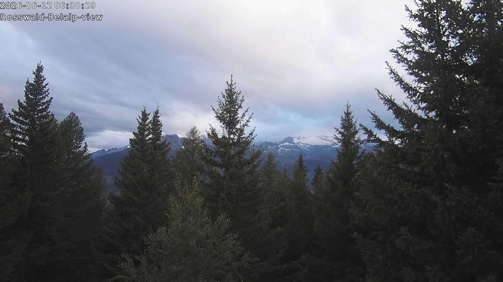 Archived image Webcam Rosswald - Bärgfriedu